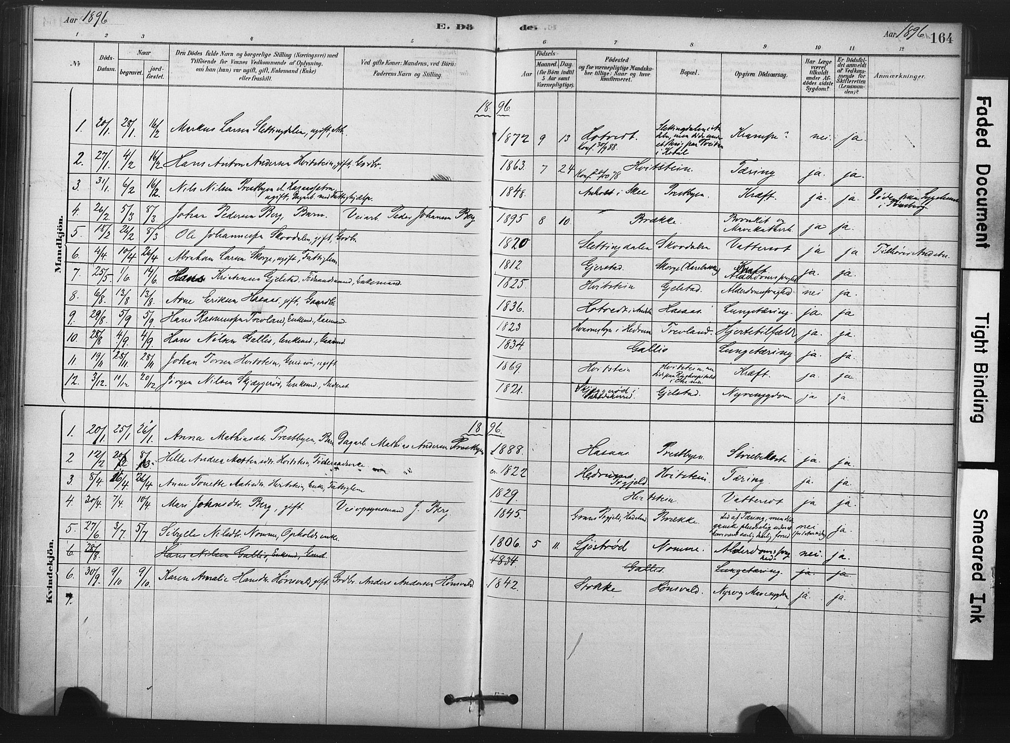 Andebu kirkebøker, AV/SAKO-A-336/F/Fa/L0008: Parish register (official) no. 8, 1878-1902, p. 164