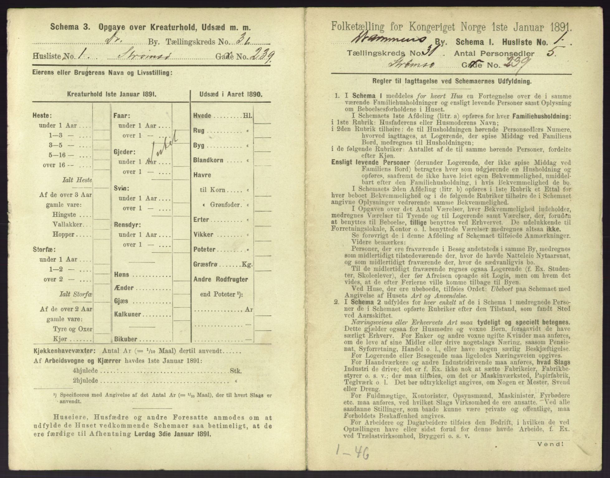 RA, 1891 census for 0602 Drammen, 1891, p. 2659