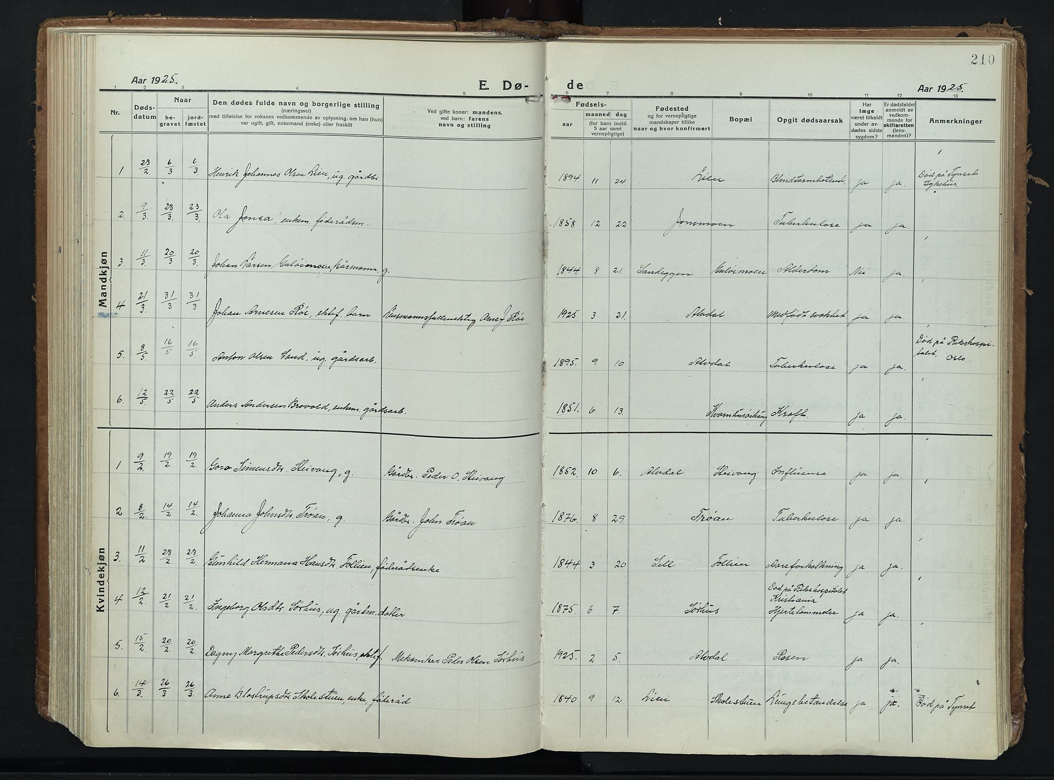 Alvdal prestekontor, SAH/PREST-060/H/Ha/Haa/L0006: Parish register (official) no. 6, 1920-1937, p. 210