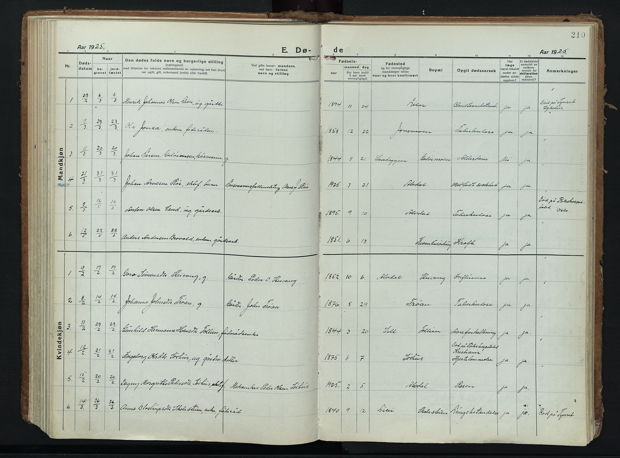 Alvdal prestekontor, AV/SAH-PREST-060/H/Ha/Haa/L0006: Parish register (official) no. 6, 1920-1937, p. 210