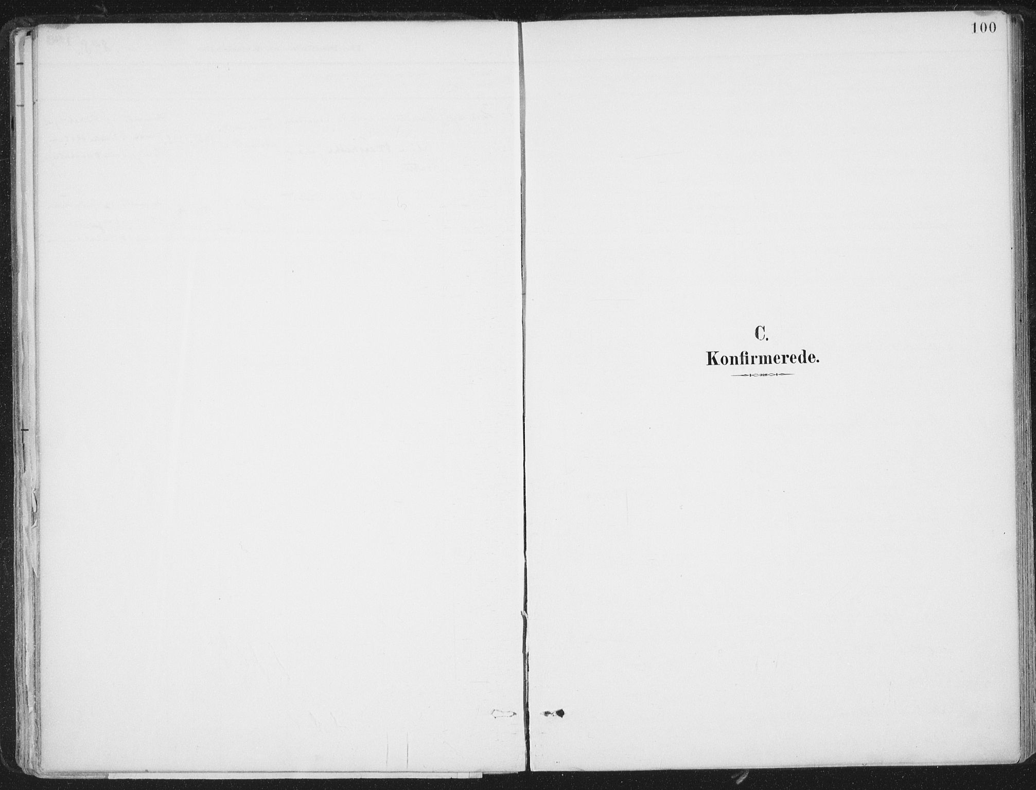Ministerialprotokoller, klokkerbøker og fødselsregistre - Nord-Trøndelag, SAT/A-1458/786/L0687: Parish register (official) no. 786A03, 1888-1898, p. 100