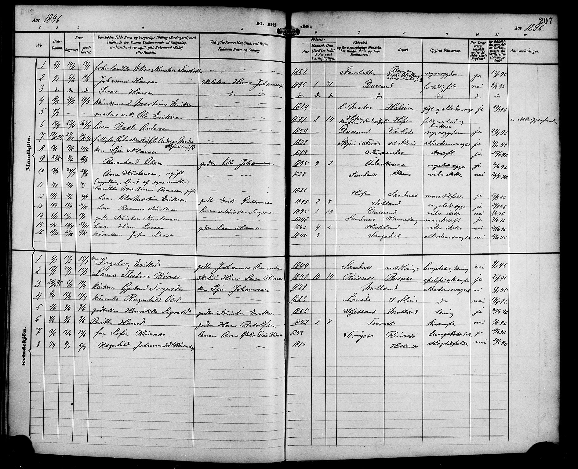Masfjorden Sokneprestembete, SAB/A-77001: Parish register (copy) no. B 1, 1892-1913, p. 207
