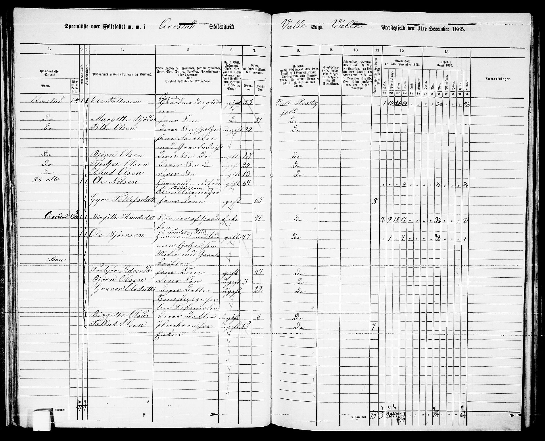 RA, 1865 census for Valle, 1865, p. 42