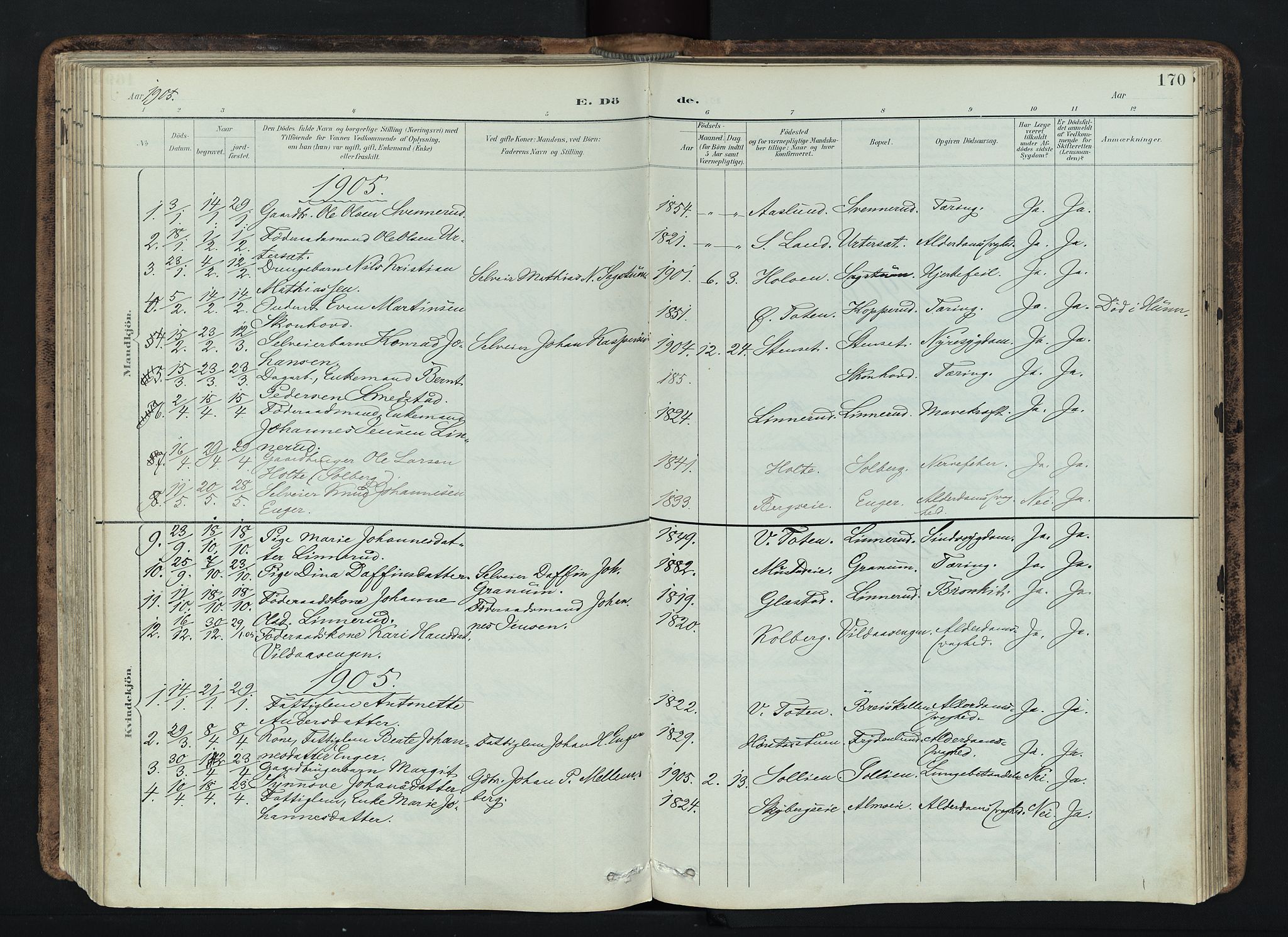 Vardal prestekontor, SAH/PREST-100/H/Ha/Haa/L0019: Parish register (official) no. 19, 1893-1907, p. 170