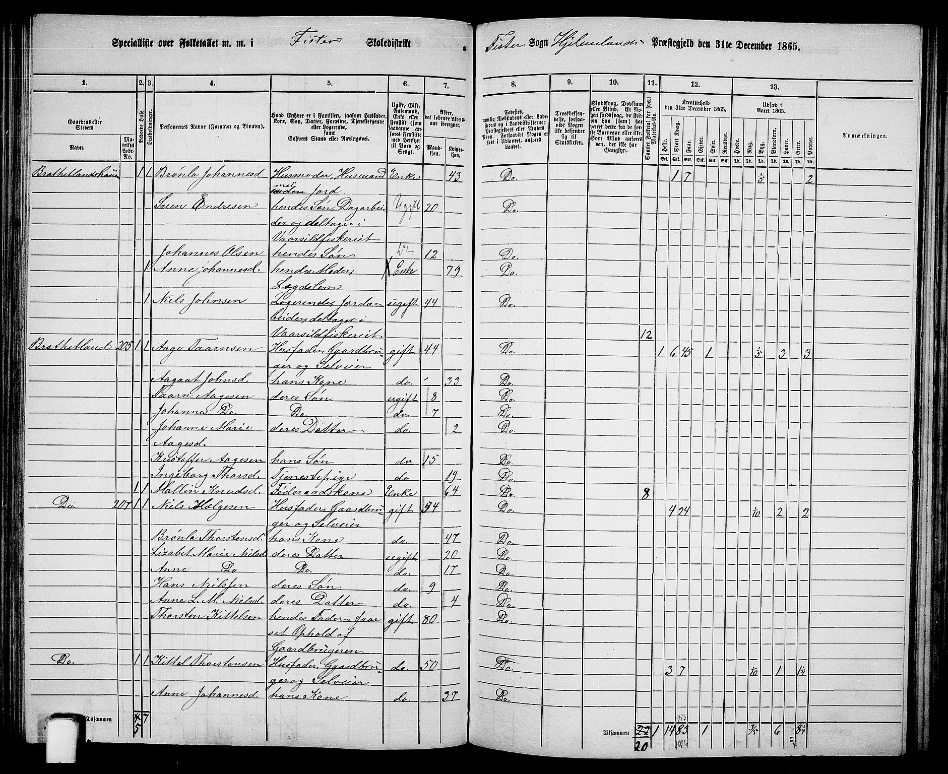 RA, 1865 census for Hjelmeland, 1865, p. 117