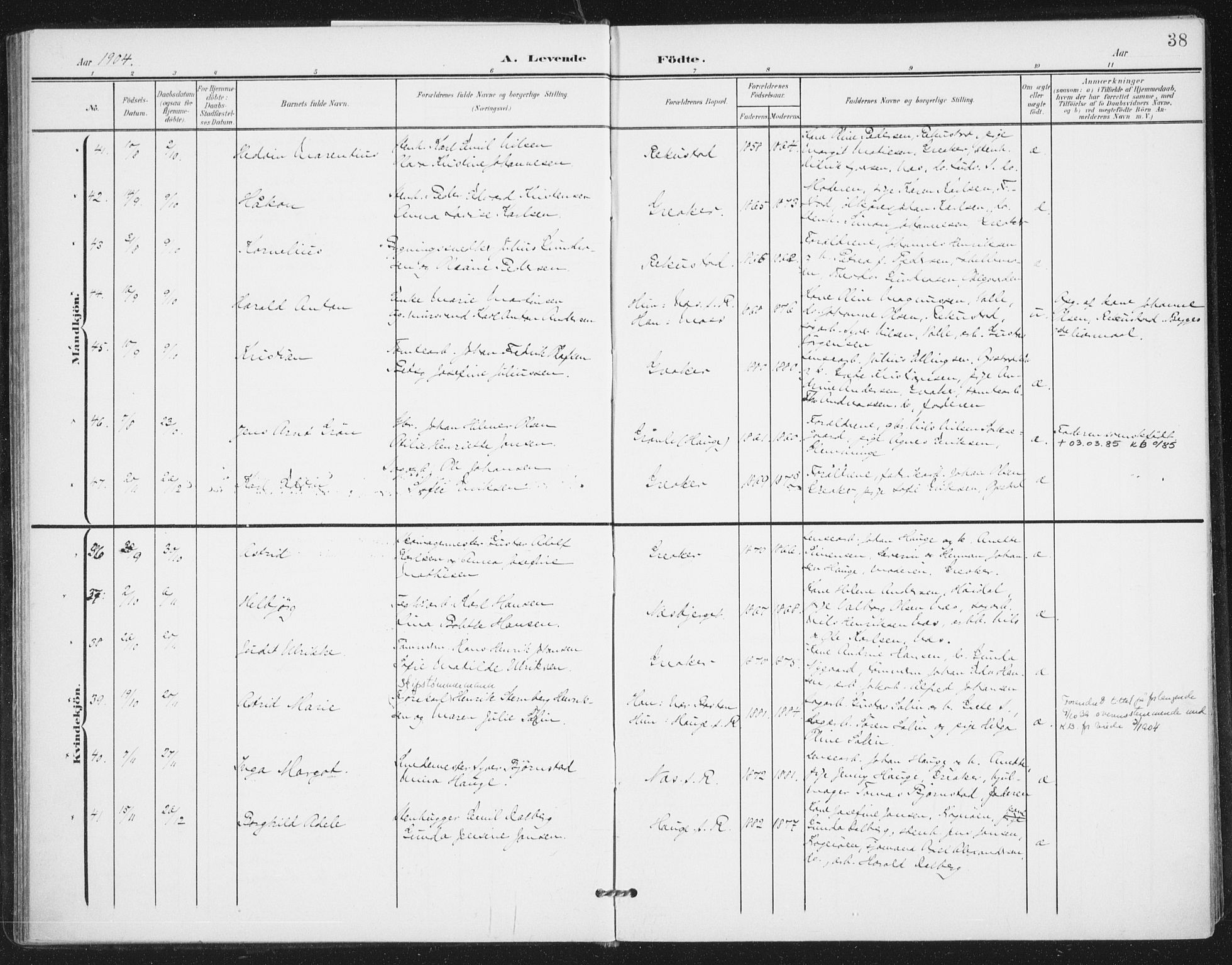 Rolvsøy prestekontor Kirkebøker, AV/SAO-A-2004/F/Fa/L0001: Parish register (official) no. 1, 1901-1909, p. 38