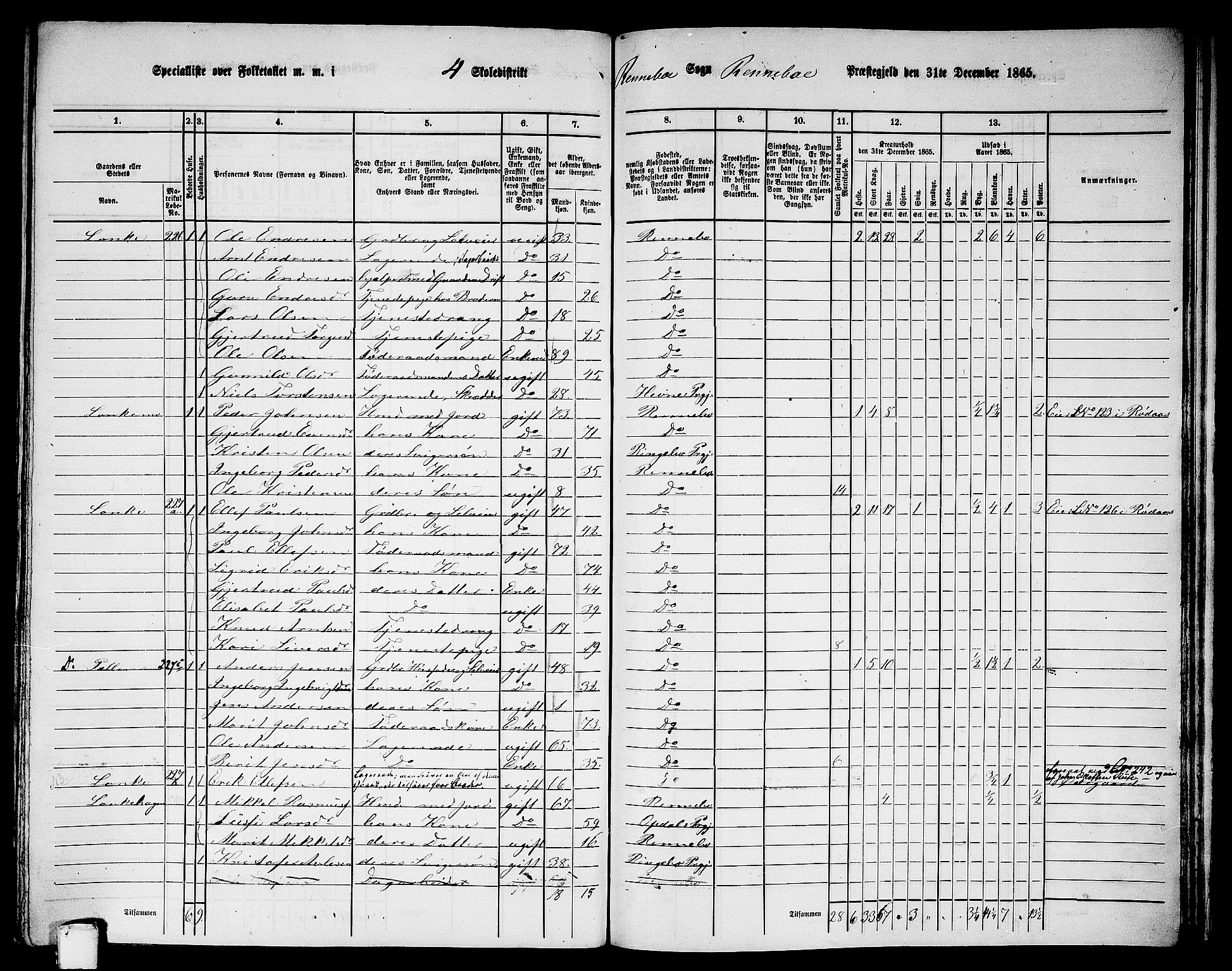 RA, 1865 census for Rennebu, 1865, p. 76