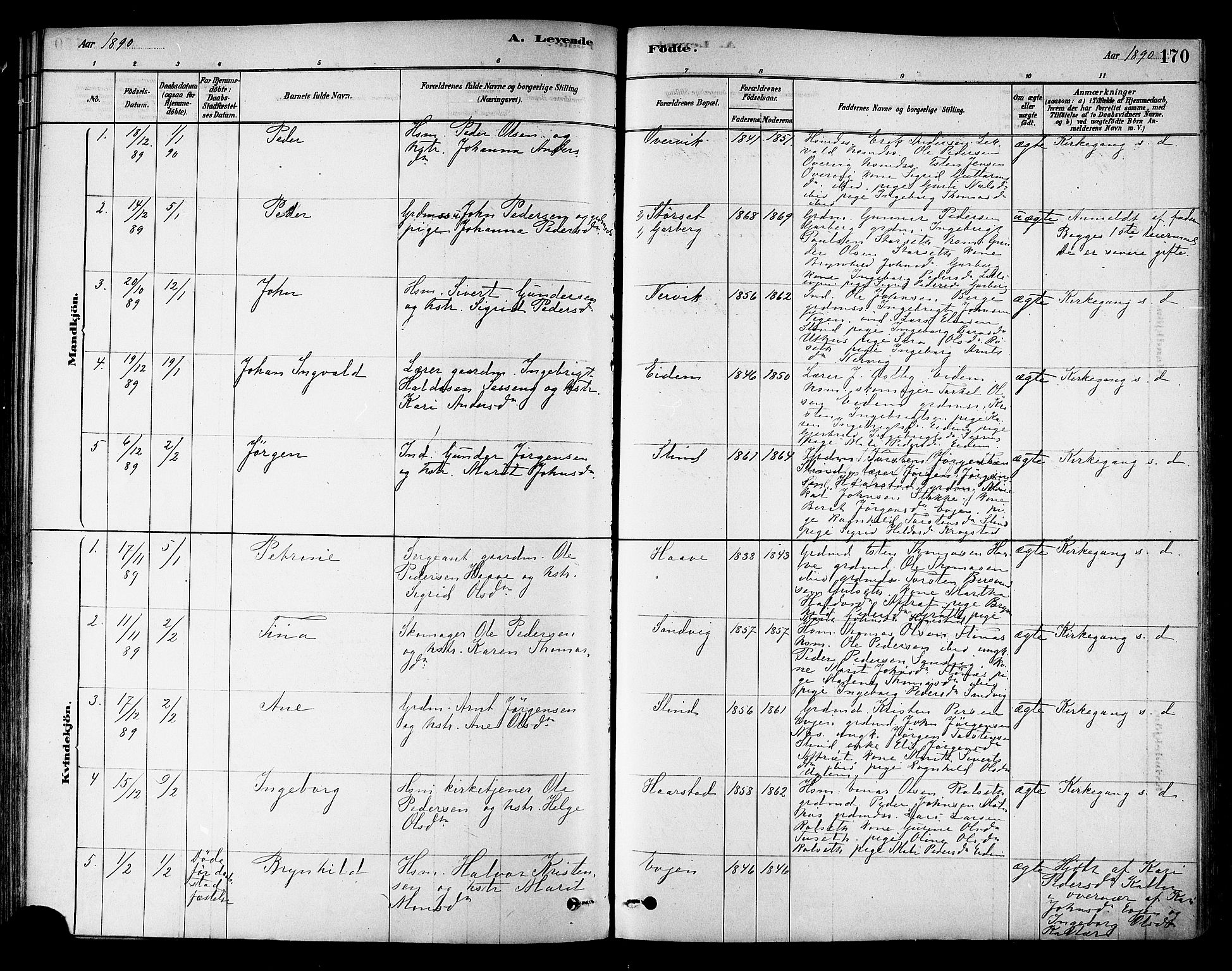 Ministerialprotokoller, klokkerbøker og fødselsregistre - Sør-Trøndelag, SAT/A-1456/695/L1148: Parish register (official) no. 695A08, 1878-1891, p. 170