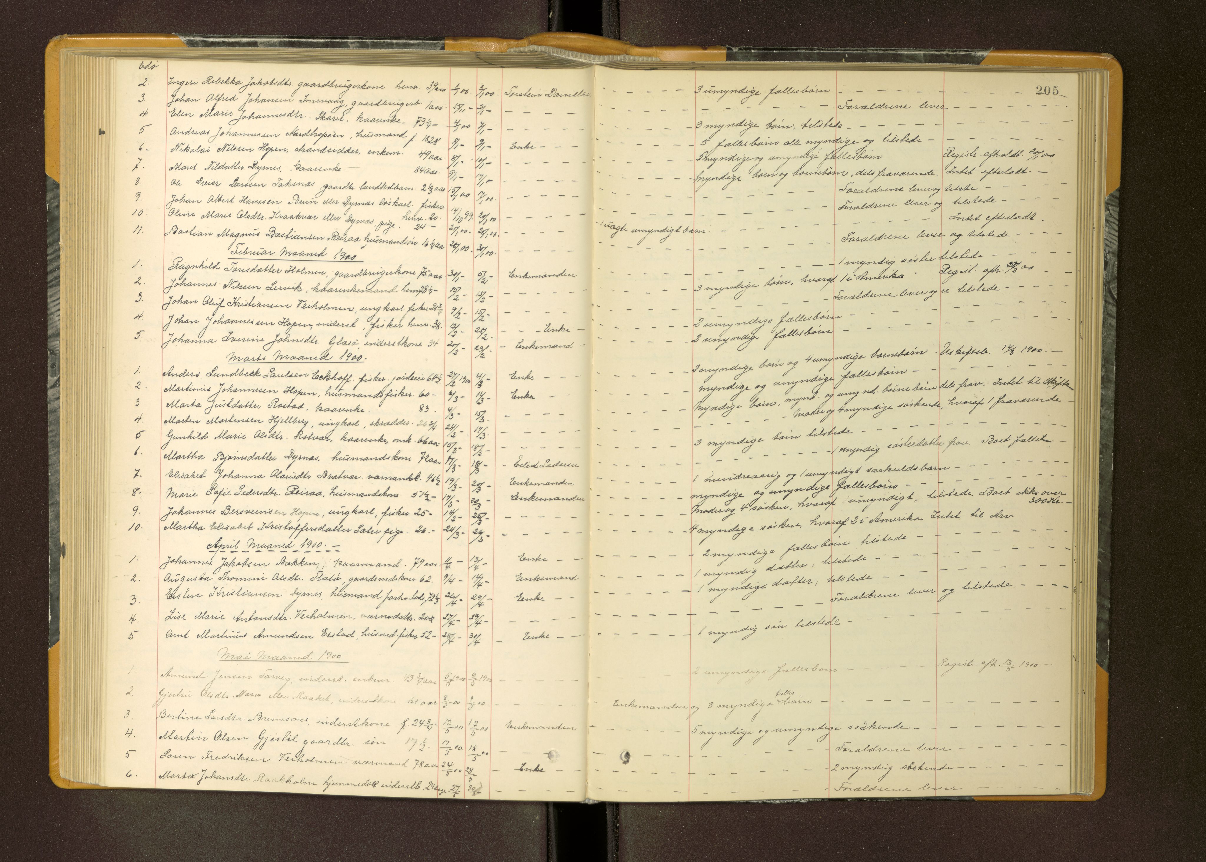Nordmøre sorenskriveri, AV/SAT-A-4132/1/3/3L/L0004: Dødsfallsprotokoll, 1898-1908, p. 205