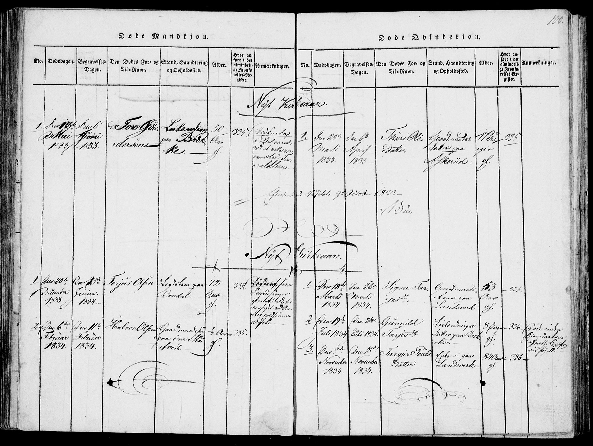 Fyresdal kirkebøker, SAKO/A-263/F/Fa/L0004: Parish register (official) no. I 4, 1815-1854, p. 100