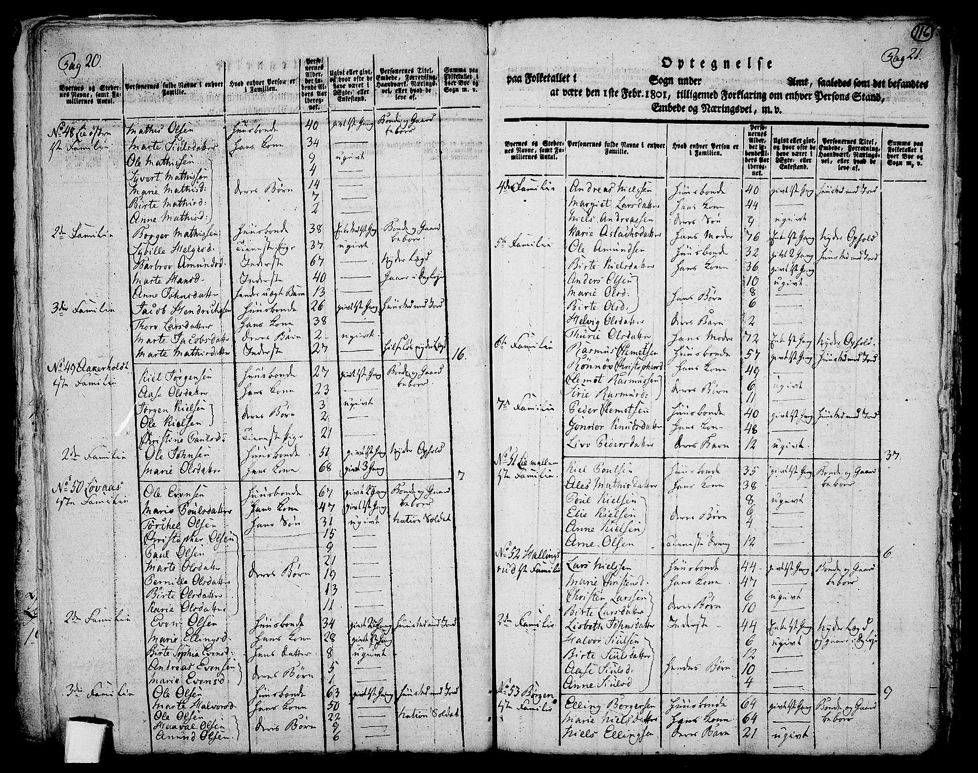 RA, 1801 census for 0728P Lardal, 1801, p. 115b-116a