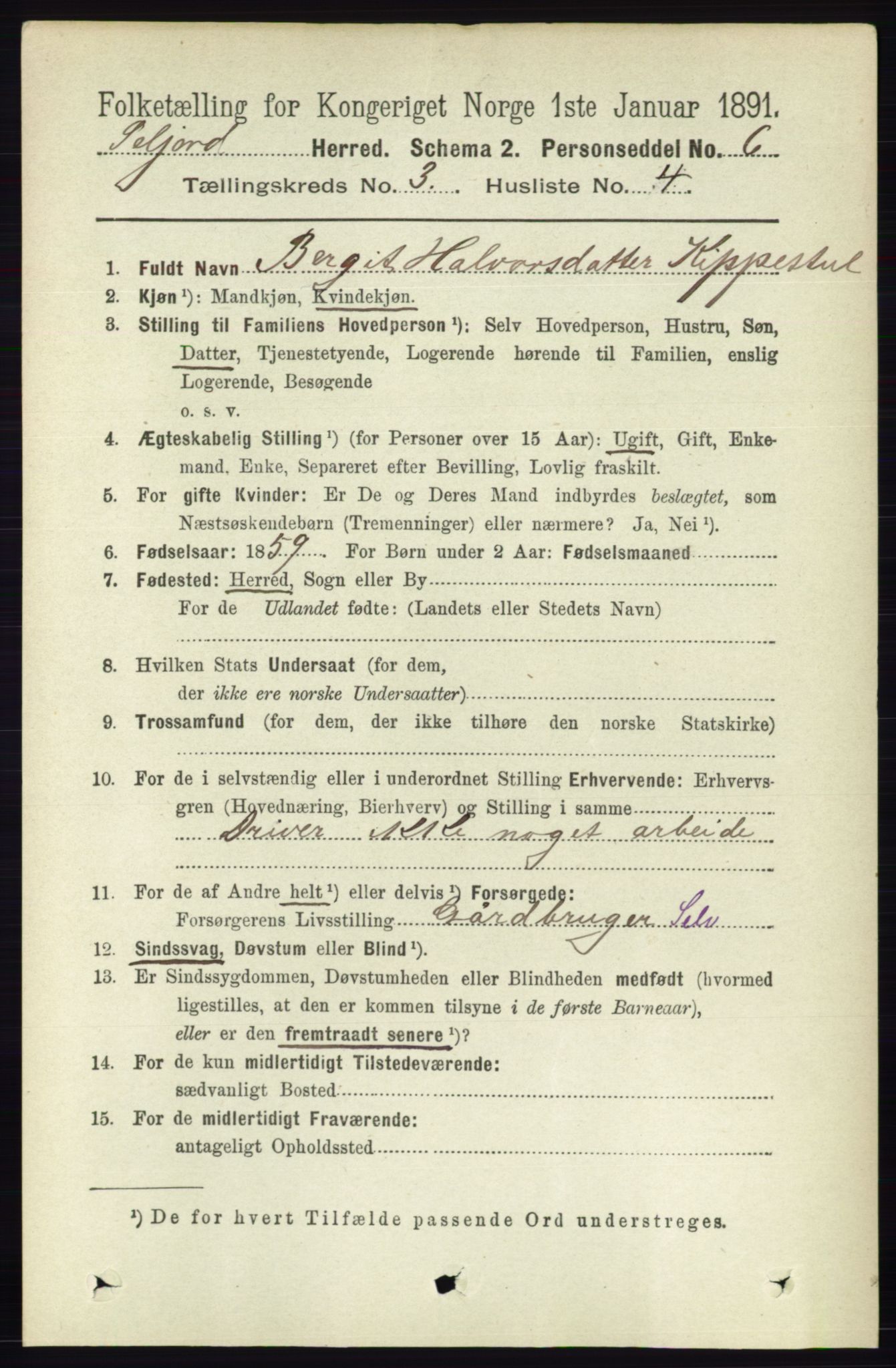 RA, 1891 census for 0828 Seljord, 1891, p. 997