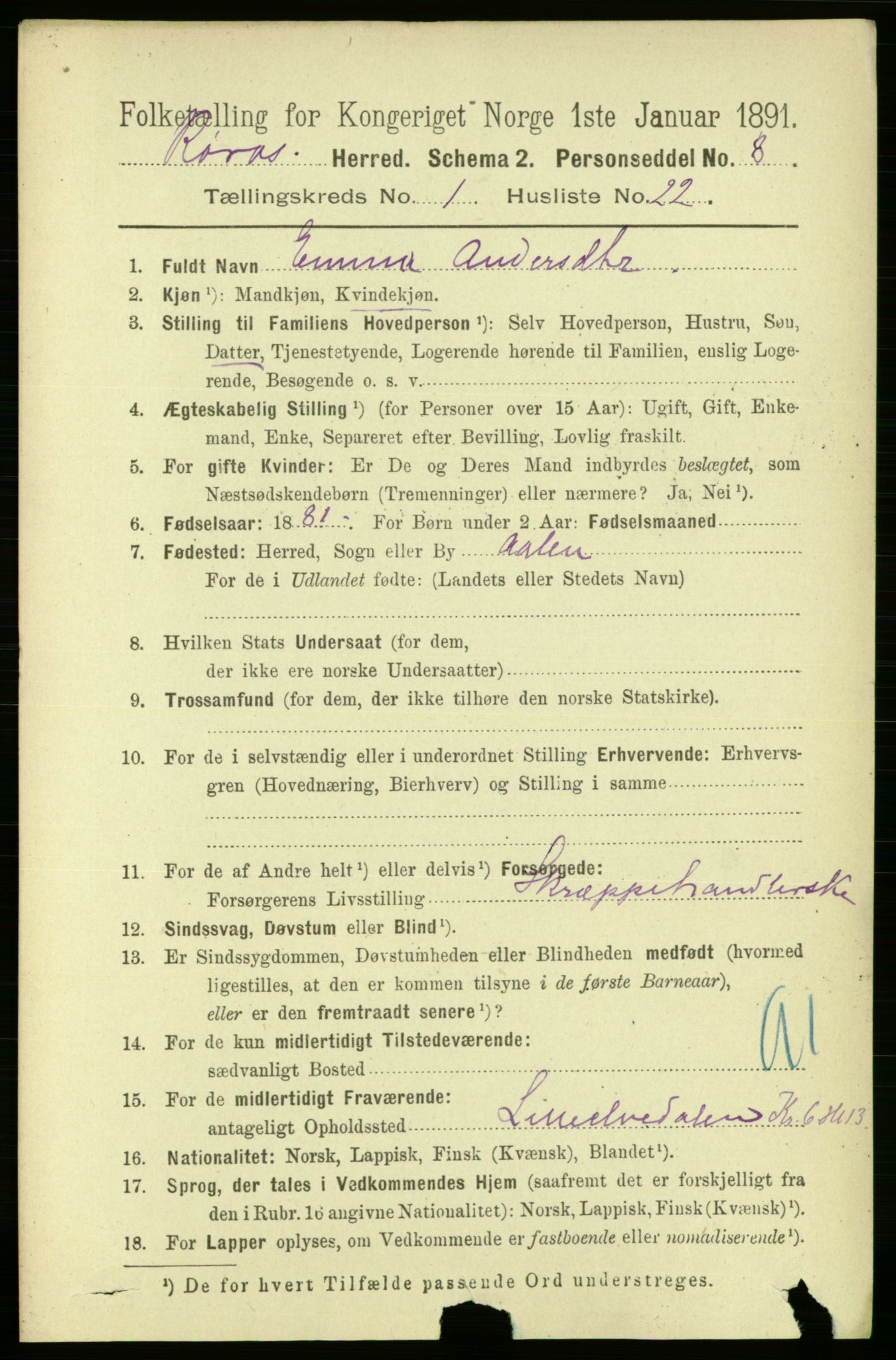 RA, 1891 census for 1640 Røros, 1891, p. 222