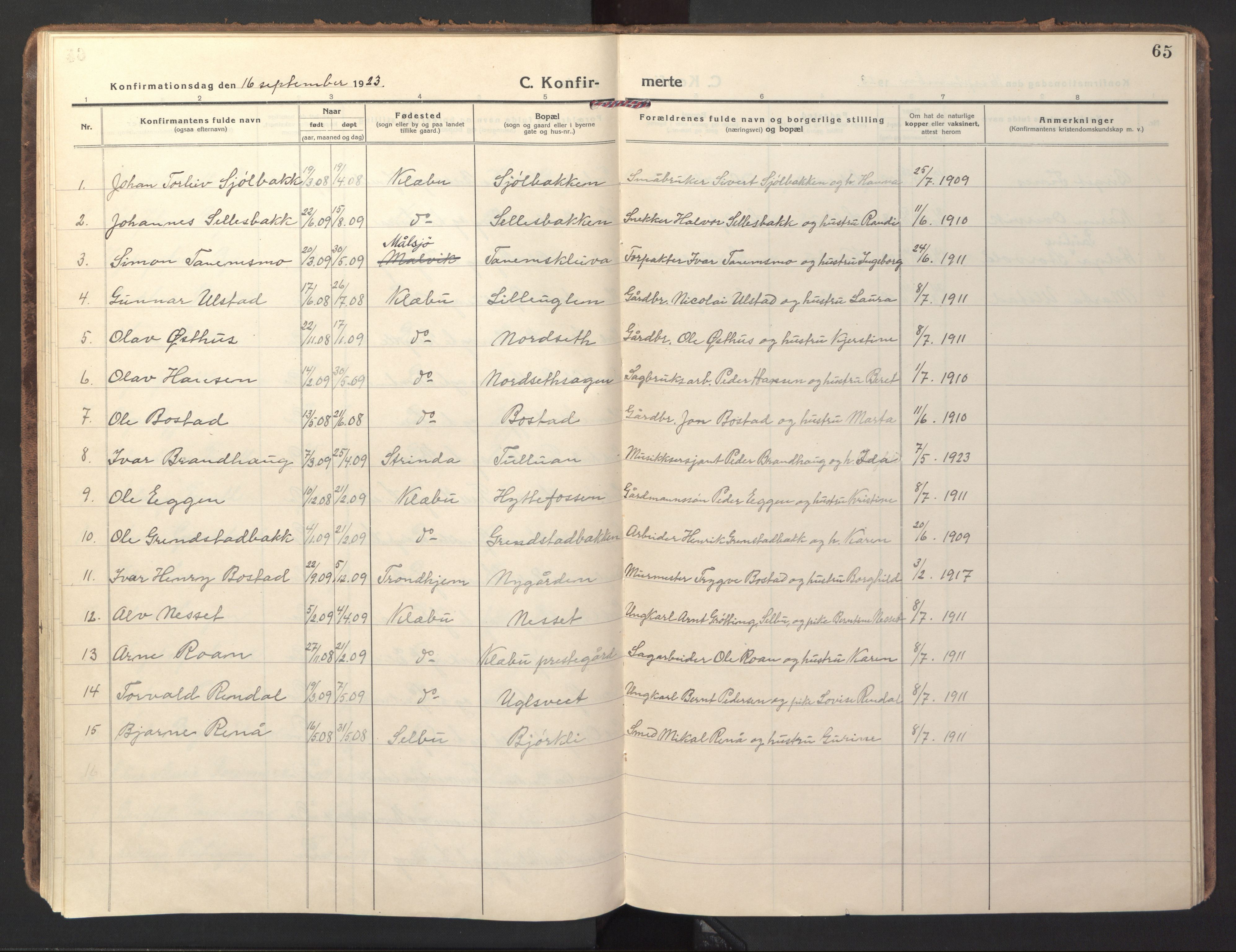 Ministerialprotokoller, klokkerbøker og fødselsregistre - Sør-Trøndelag, SAT/A-1456/618/L0449: Parish register (official) no. 618A12, 1917-1924, p. 65