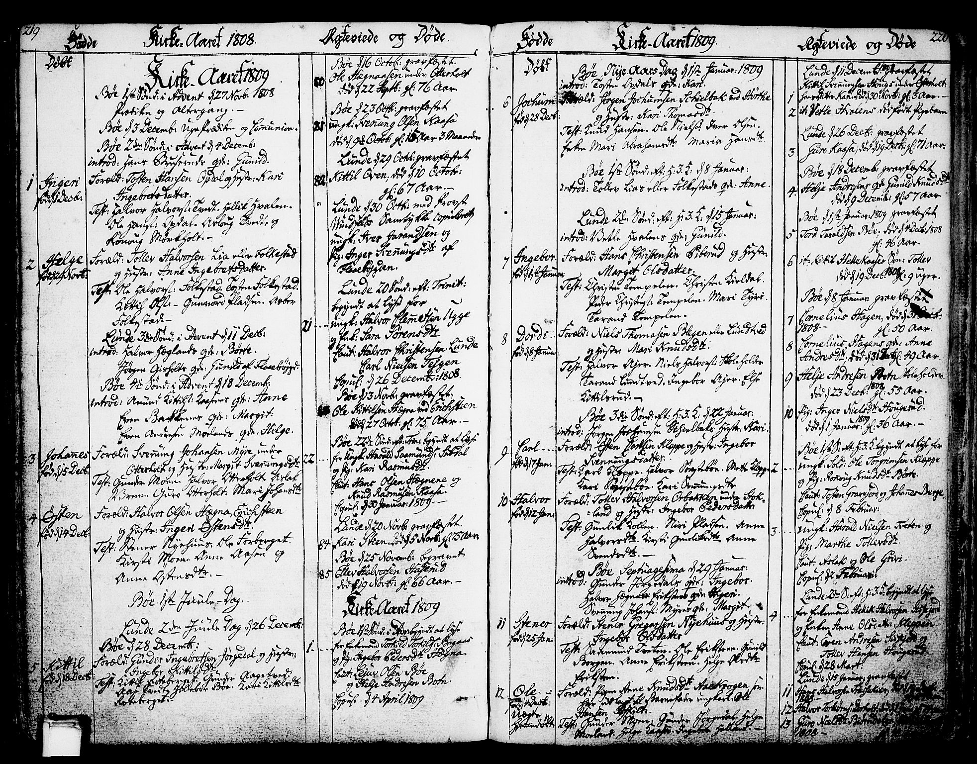 Bø kirkebøker, SAKO/A-257/F/Fa/L0005: Parish register (official) no. 5, 1785-1815, p. 219-220