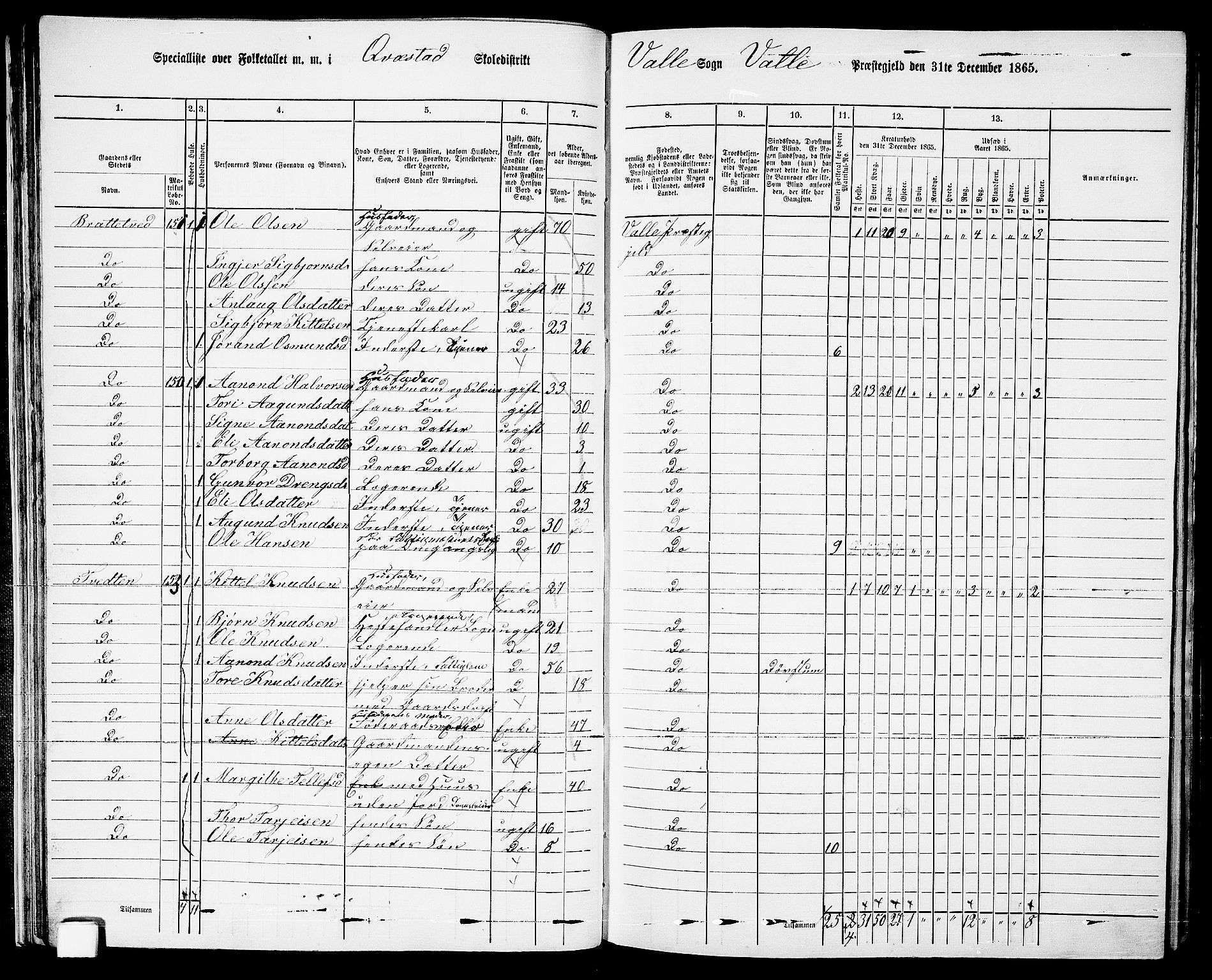 RA, 1865 census for Valle, 1865, p. 40