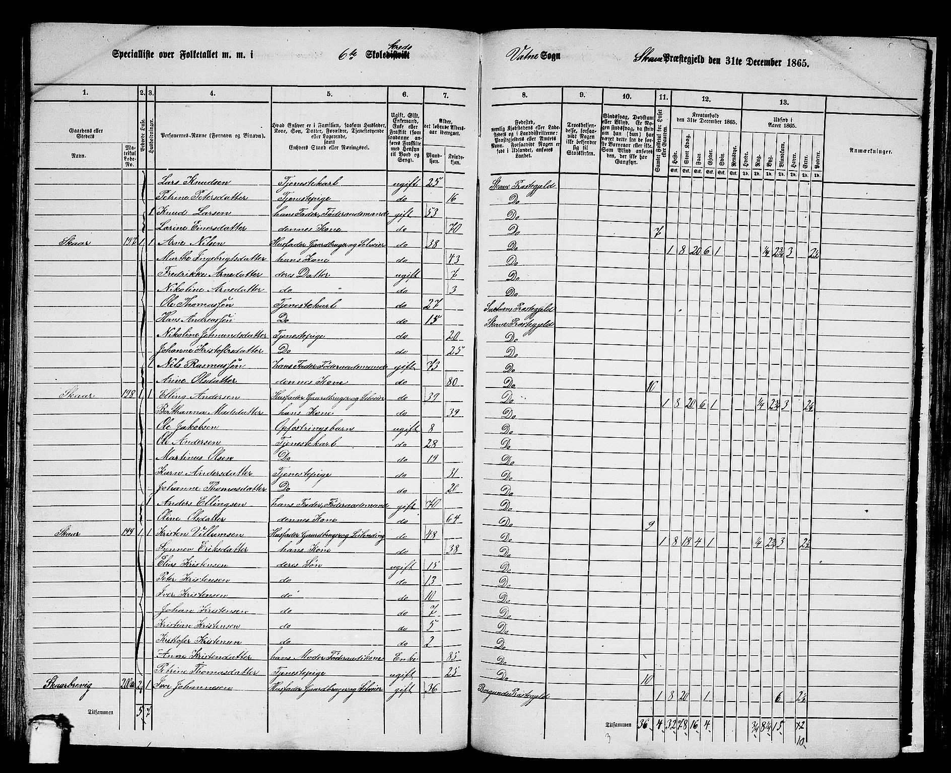 RA, 1865 census for Skodje, 1865, p. 104