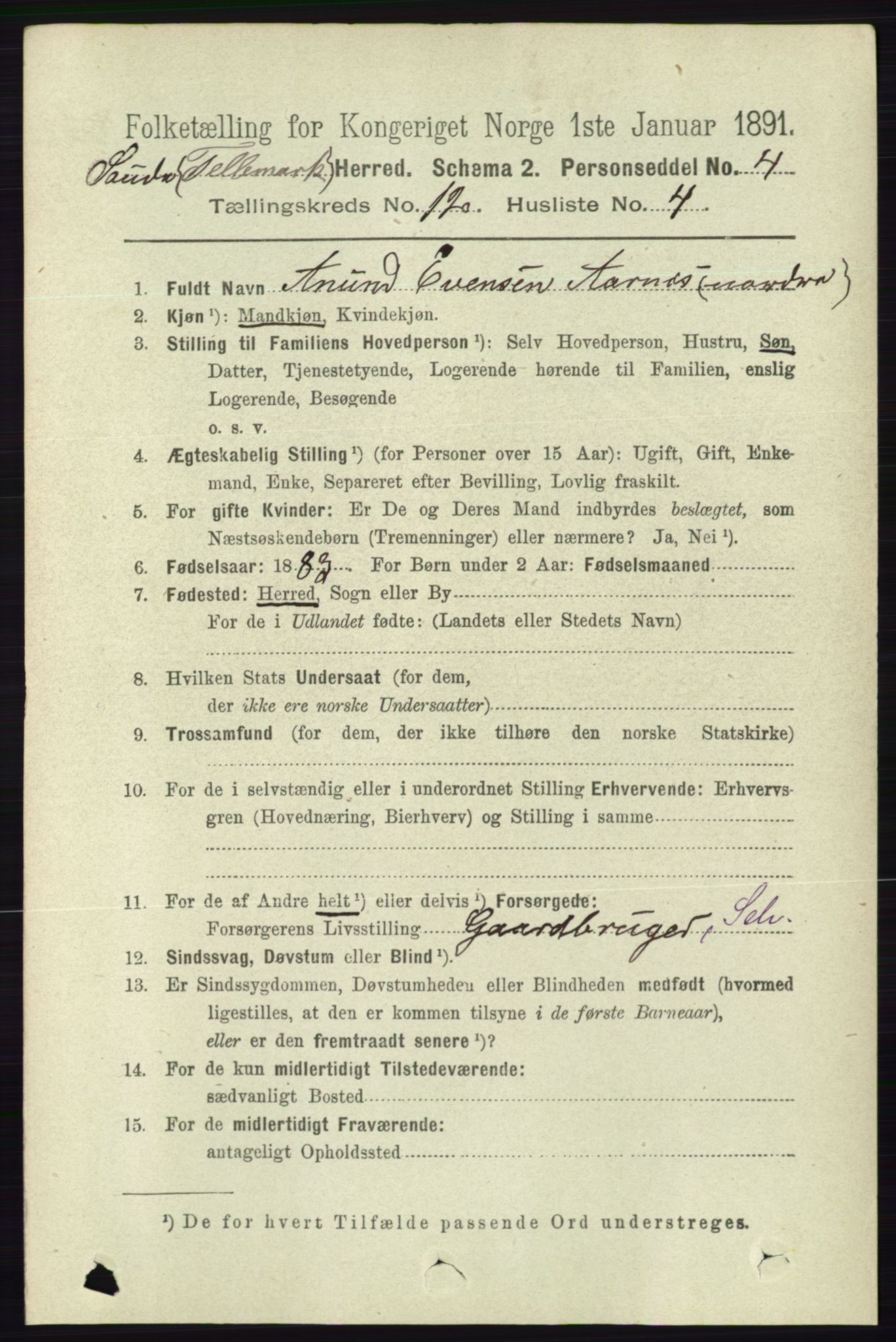 RA, 1891 census for 0822 Sauherad, 1891, p. 3641