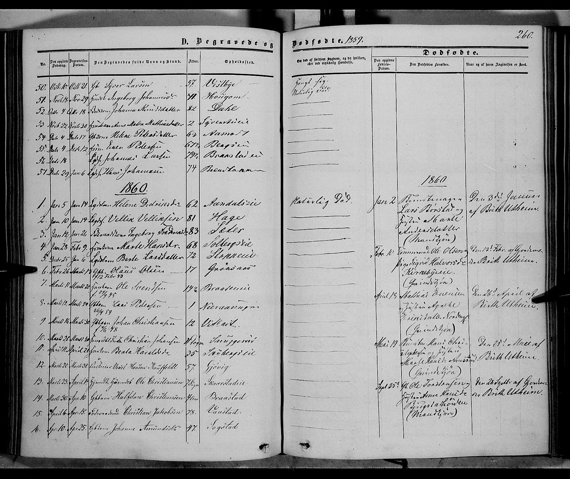 Vardal prestekontor, SAH/PREST-100/H/Ha/Haa/L0006: Parish register (official) no. 6, 1854-1866, p. 260