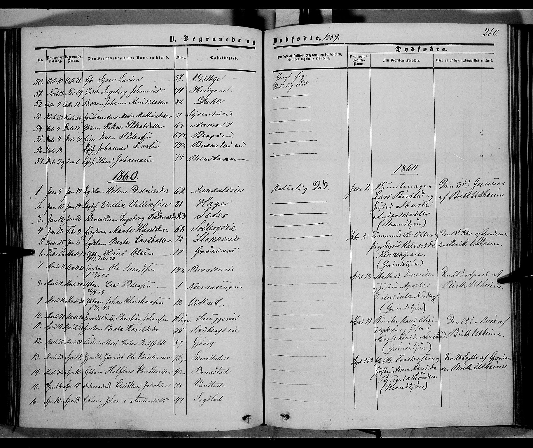 Vardal prestekontor, AV/SAH-PREST-100/H/Ha/Haa/L0006: Parish register (official) no. 6, 1854-1866, p. 260
