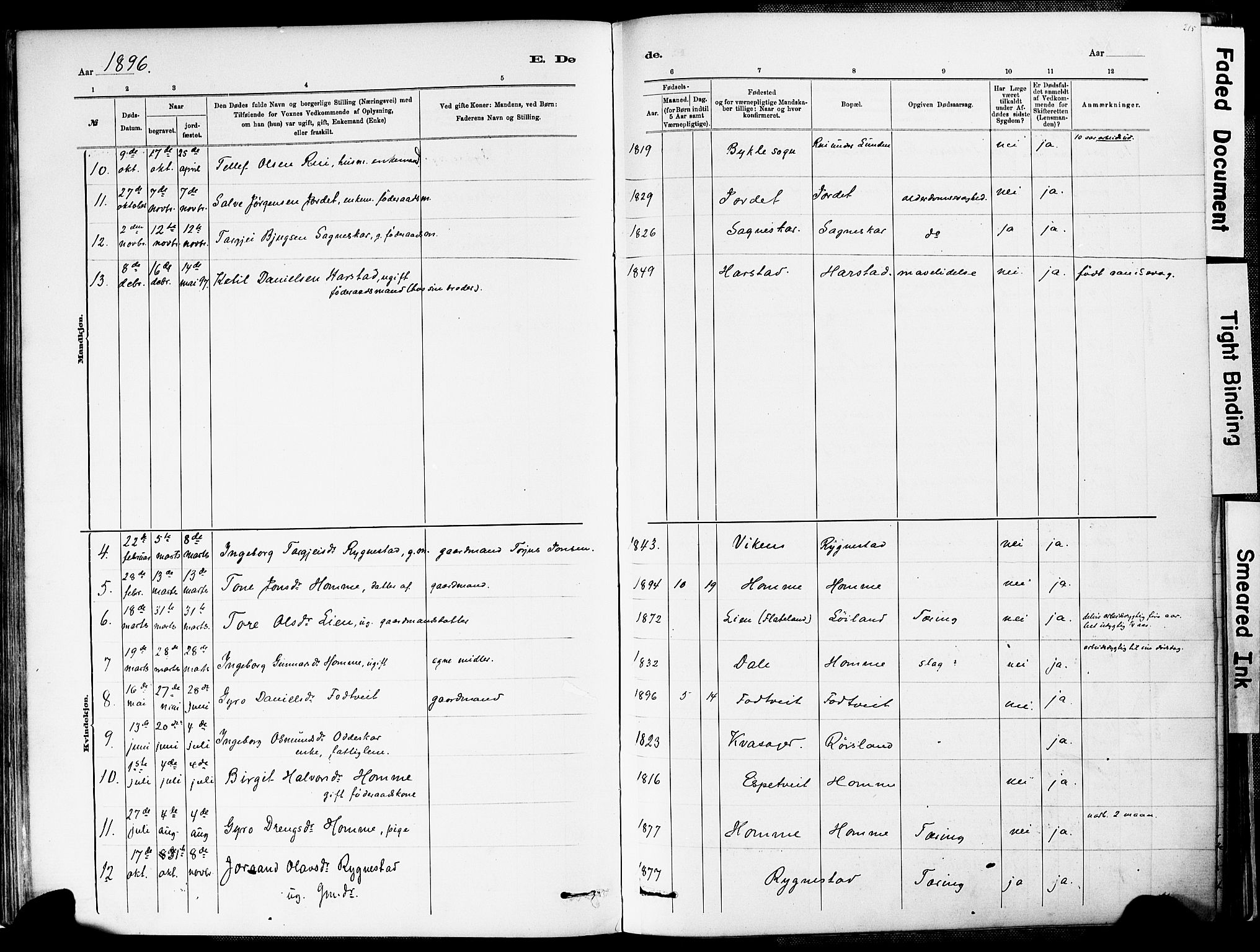 Valle sokneprestkontor, AV/SAK-1111-0044/F/Fa/Fac/L0009: Parish register (official) no. A 9, 1882-1913, p. 215