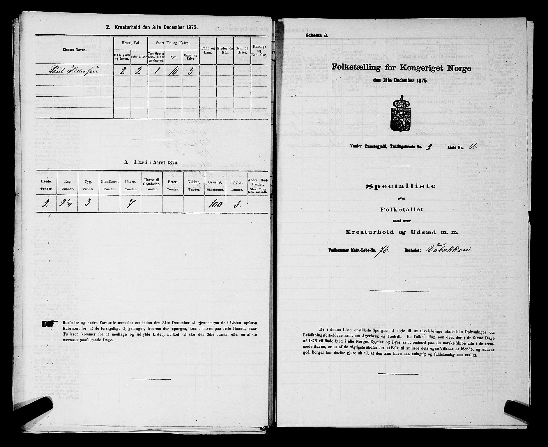 RA, 1875 census for 0137P Våler, 1875, p. 394