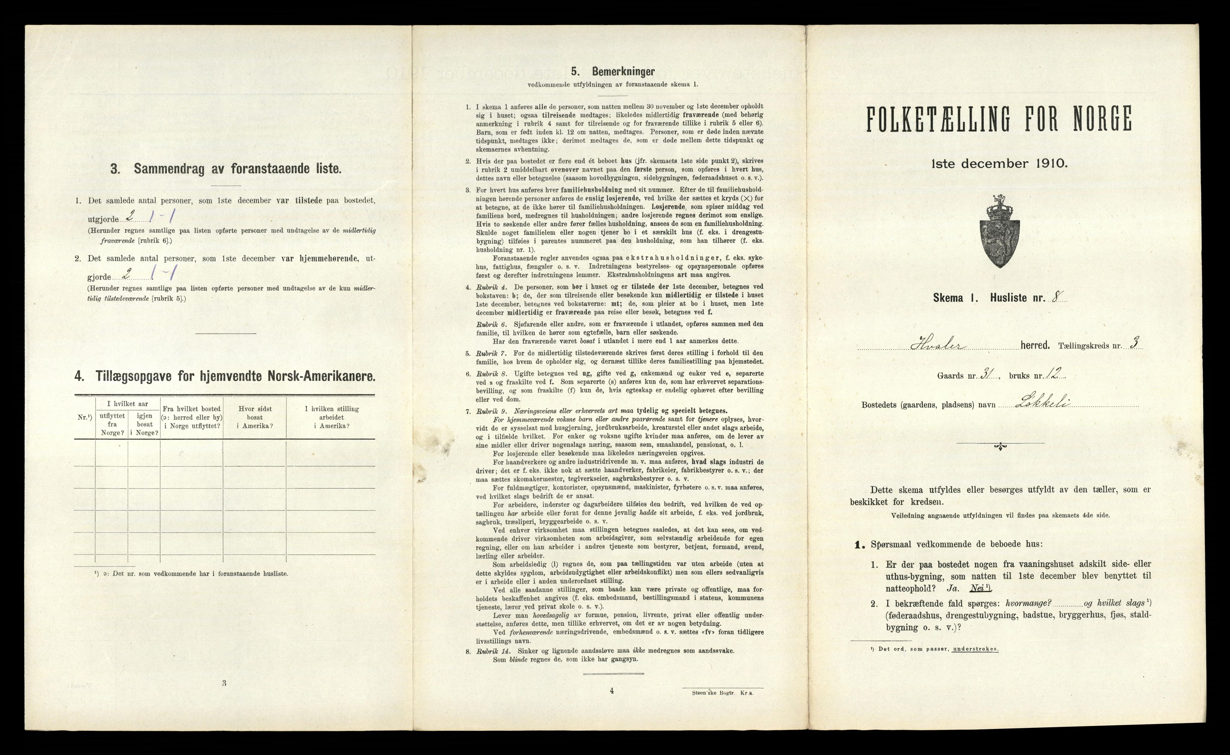 RA, 1910 census for Hvaler, 1910, p. 266