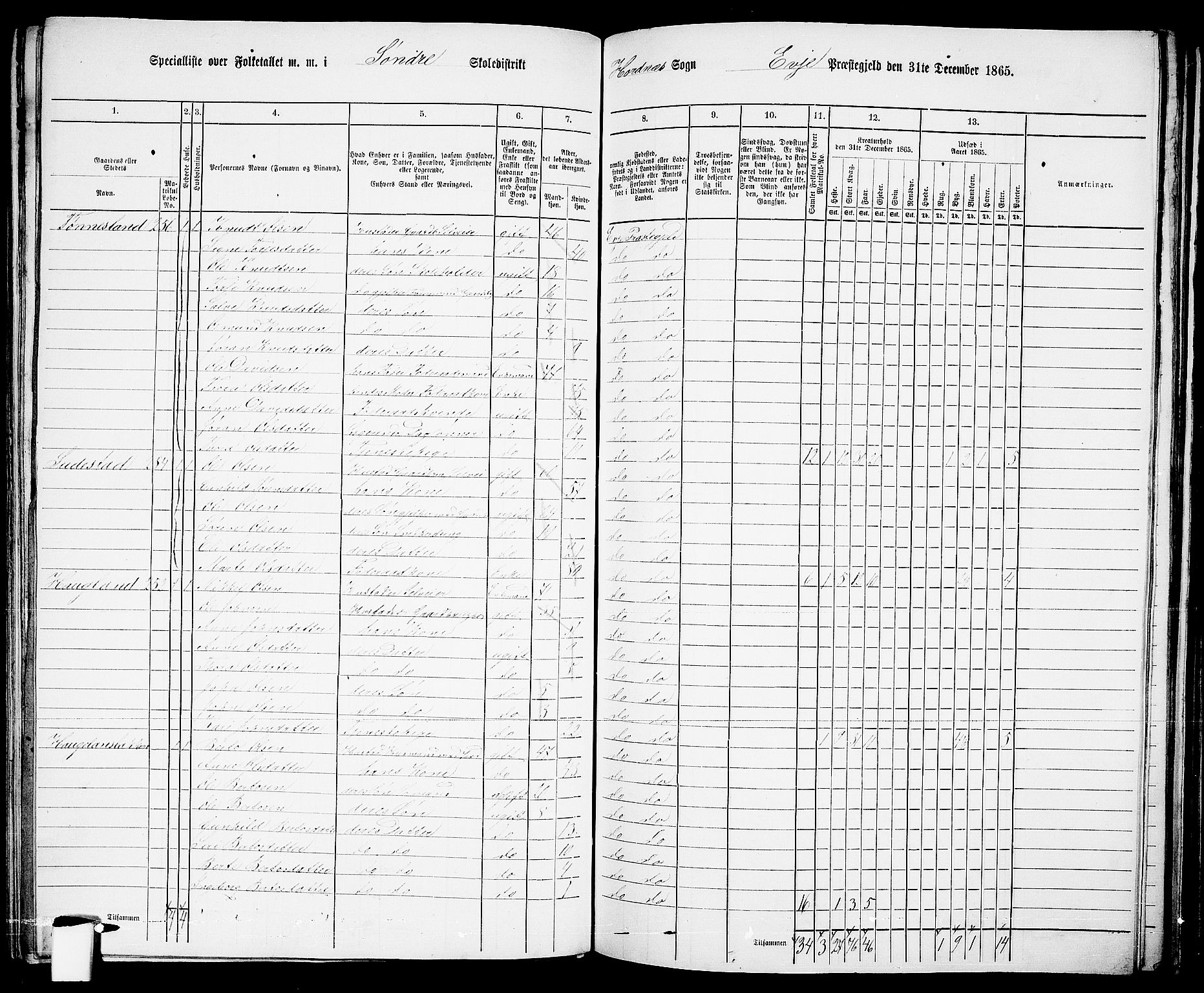 RA, 1865 census for Evje, 1865, p. 123