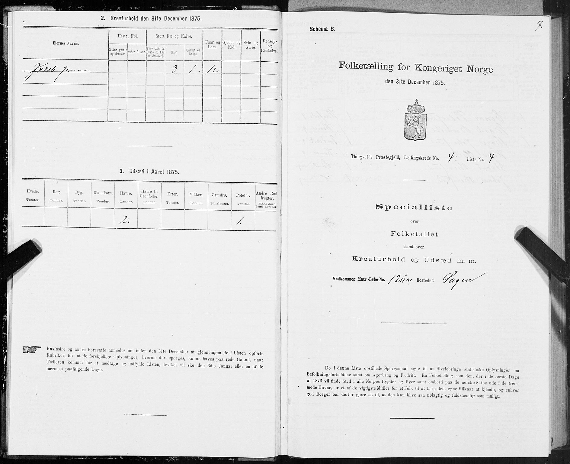 SAT, 1875 census for 1560P Tingvoll, 1875, p. 2007