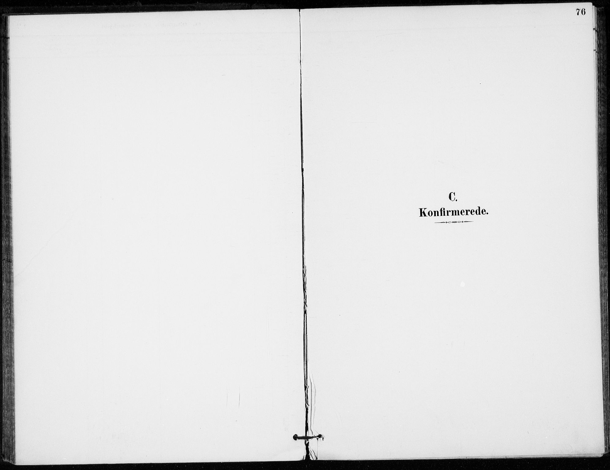 Strømsø kirkebøker, SAKO/A-246/F/Fb/L0007: Parish register (official) no. II 7, 1887-1928, p. 76