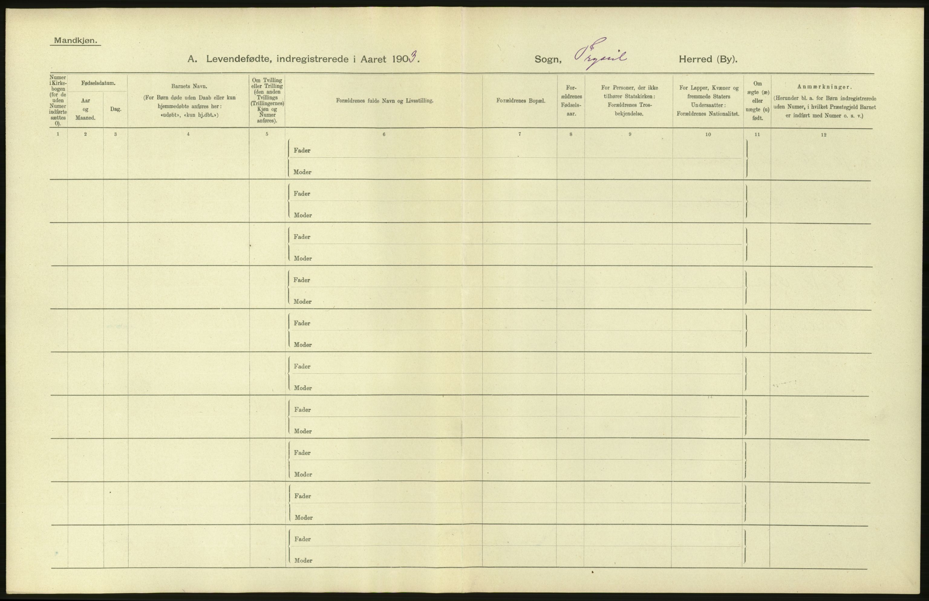 Statistisk sentralbyrå, Sosiodemografiske emner, Befolkning, AV/RA-S-2228/D/Df/Dfa/Dfaa/L0005: Hedemarkens amt: Fødte, gifte, døde, 1903, p. 6