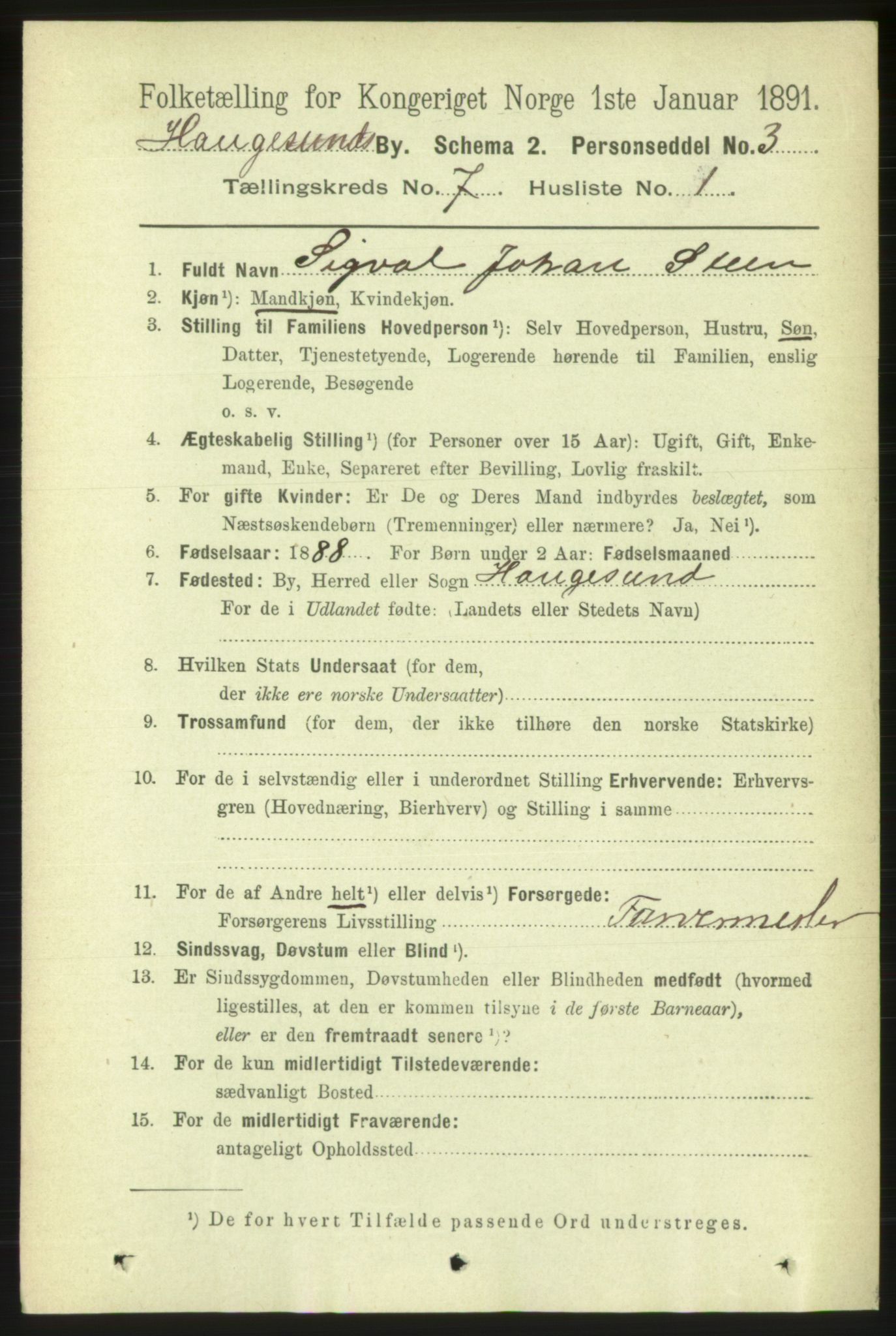 RA, 1891 census for 1106 Haugesund, 1891, p. 3078