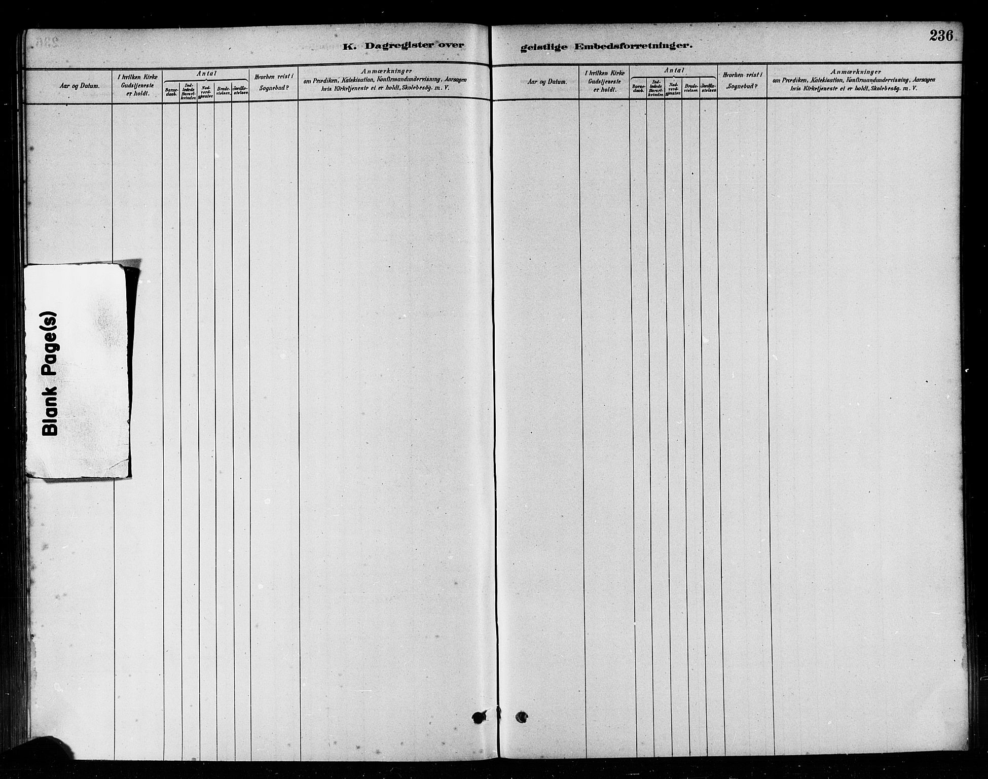 Ministerialprotokoller, klokkerbøker og fødselsregistre - Møre og Romsdal, AV/SAT-A-1454/582/L0947: Parish register (official) no. 582A01, 1880-1900, p. 236