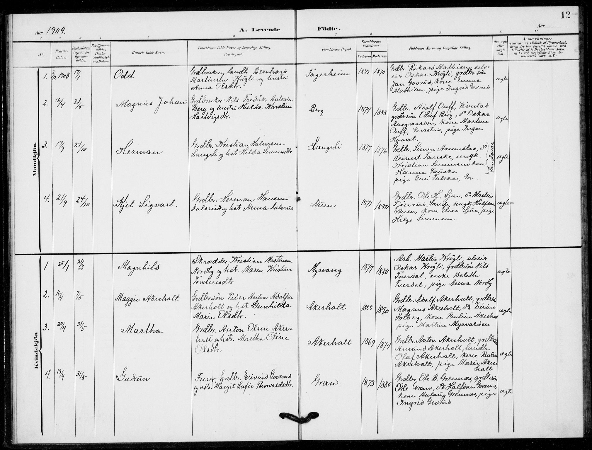 Hof kirkebøker, AV/SAKO-A-64/G/Gb/L0003: Parish register (copy) no. II 3, 1902-1917, p. 12