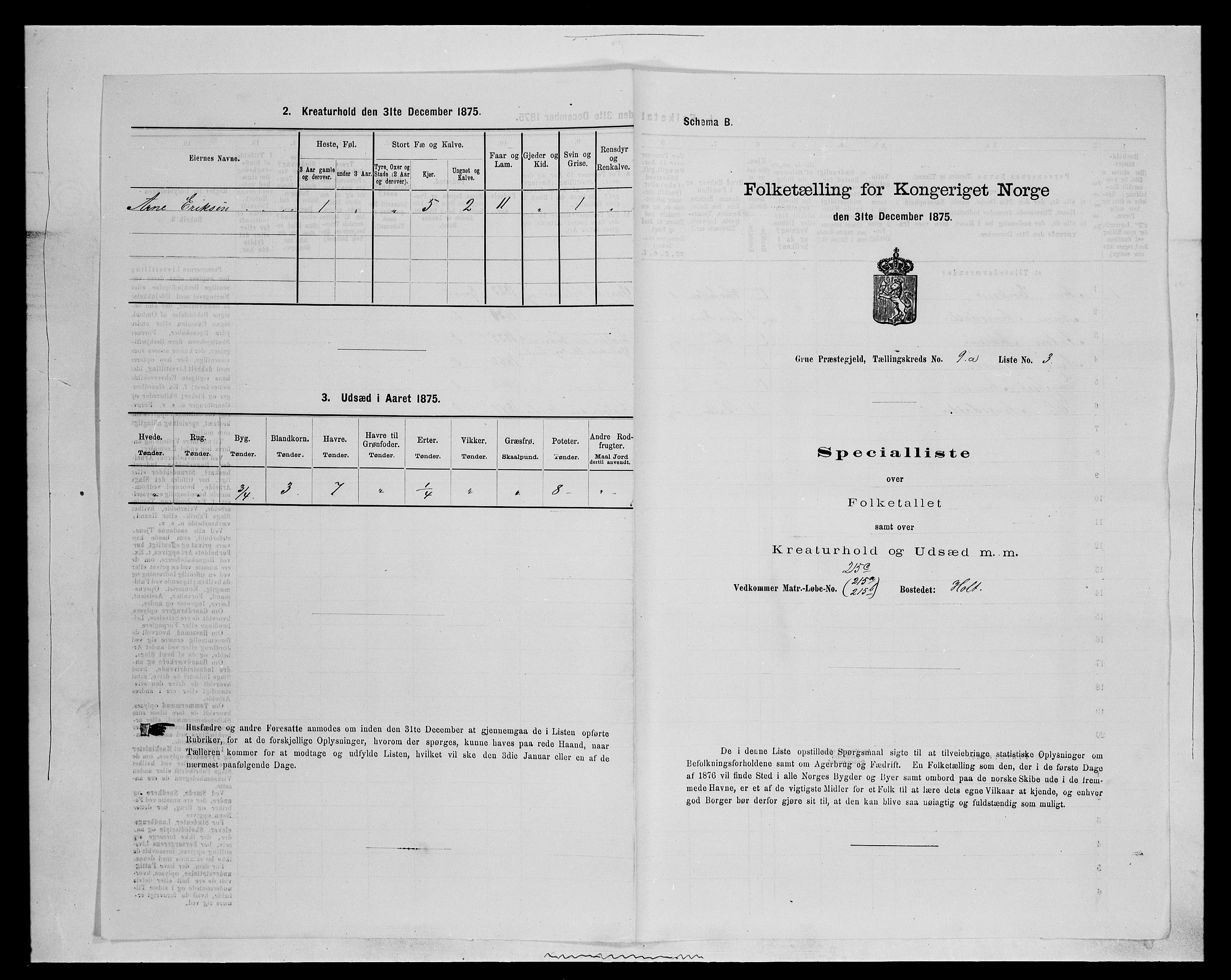 SAH, 1875 census for 0423P Grue, 1875, p. 1571