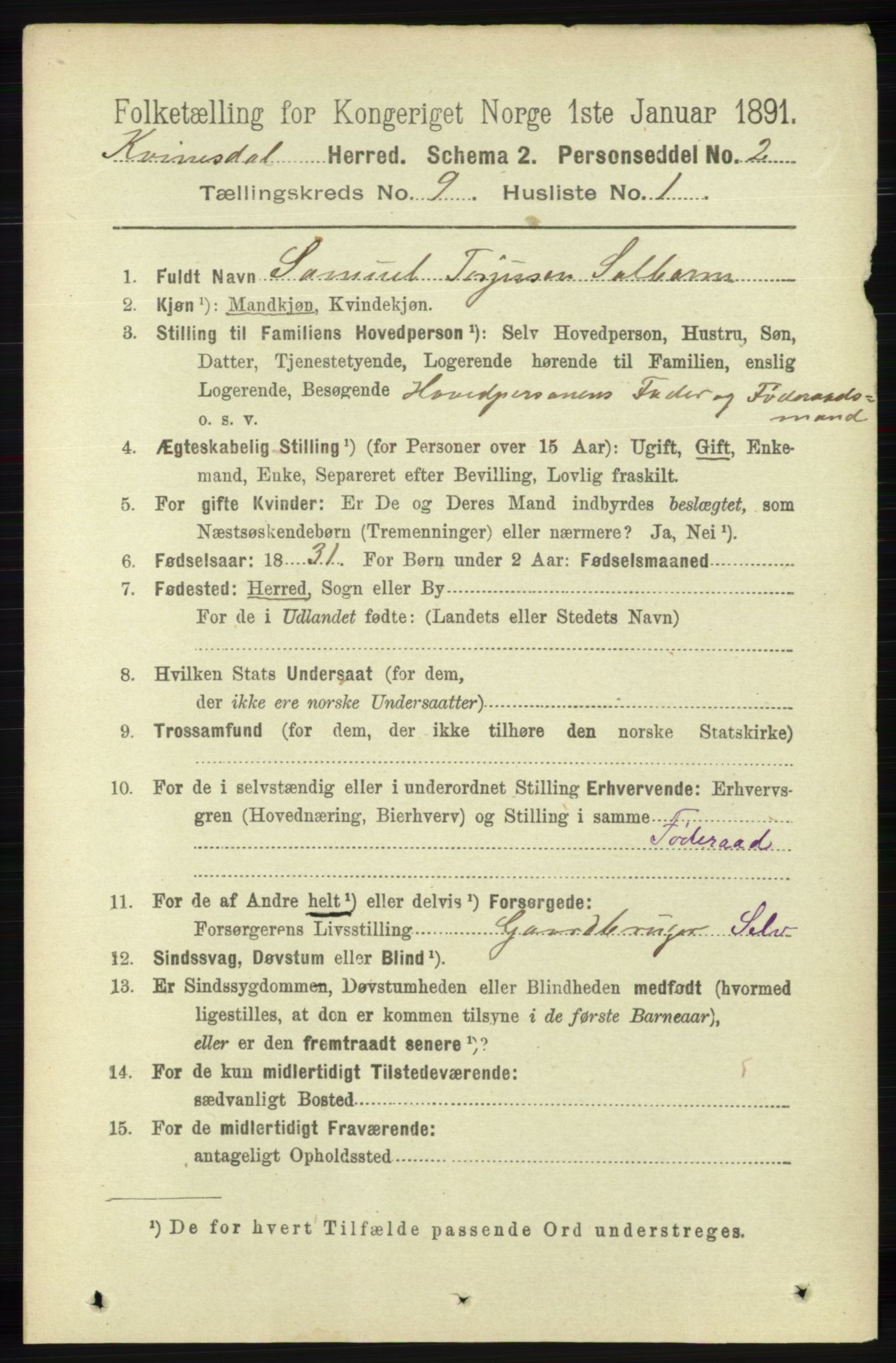 RA, 1891 census for 1037 Kvinesdal, 1891, p. 3294