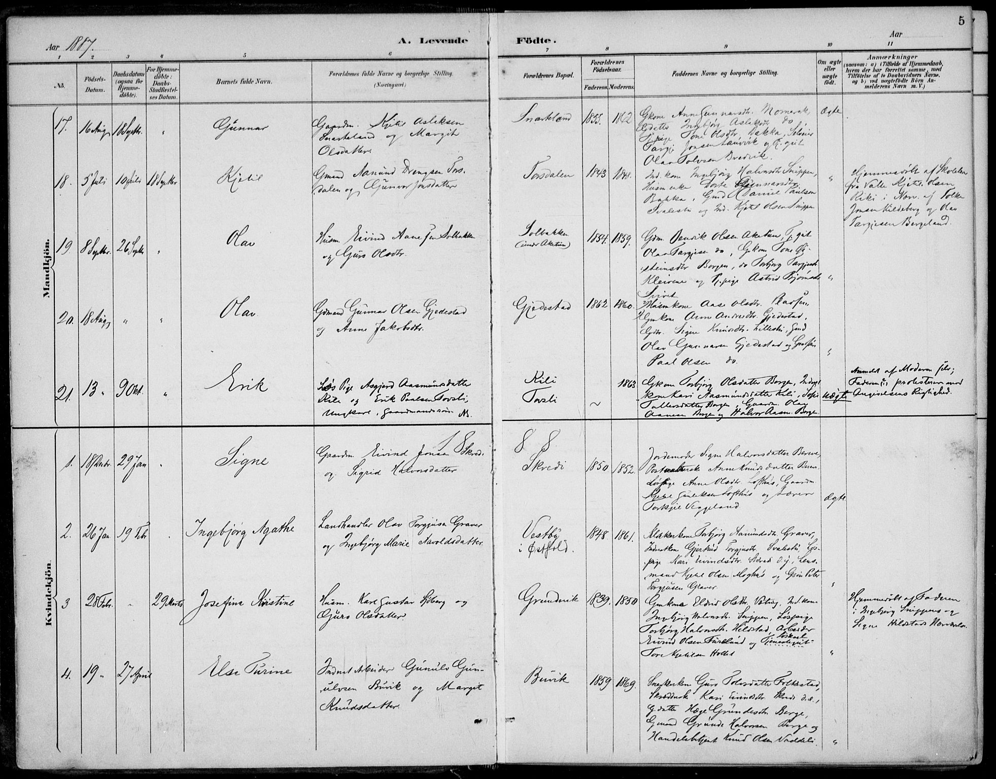 Fyresdal kirkebøker, SAKO/A-263/F/Fa/L0007: Parish register (official) no. I 7, 1887-1914, p. 5