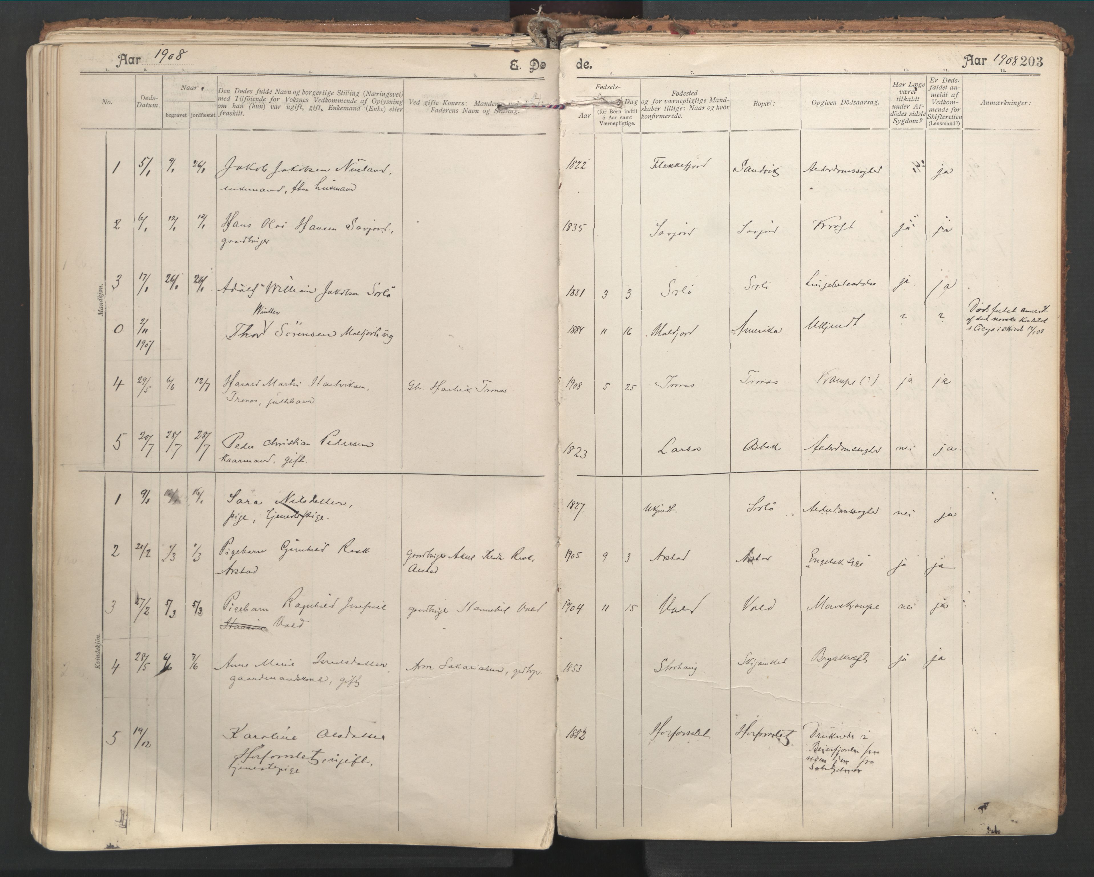 Ministerialprotokoller, klokkerbøker og fødselsregistre - Nordland, SAT/A-1459/846/L0647: Parish register (official) no. 846A05, 1902-1915, p. 203