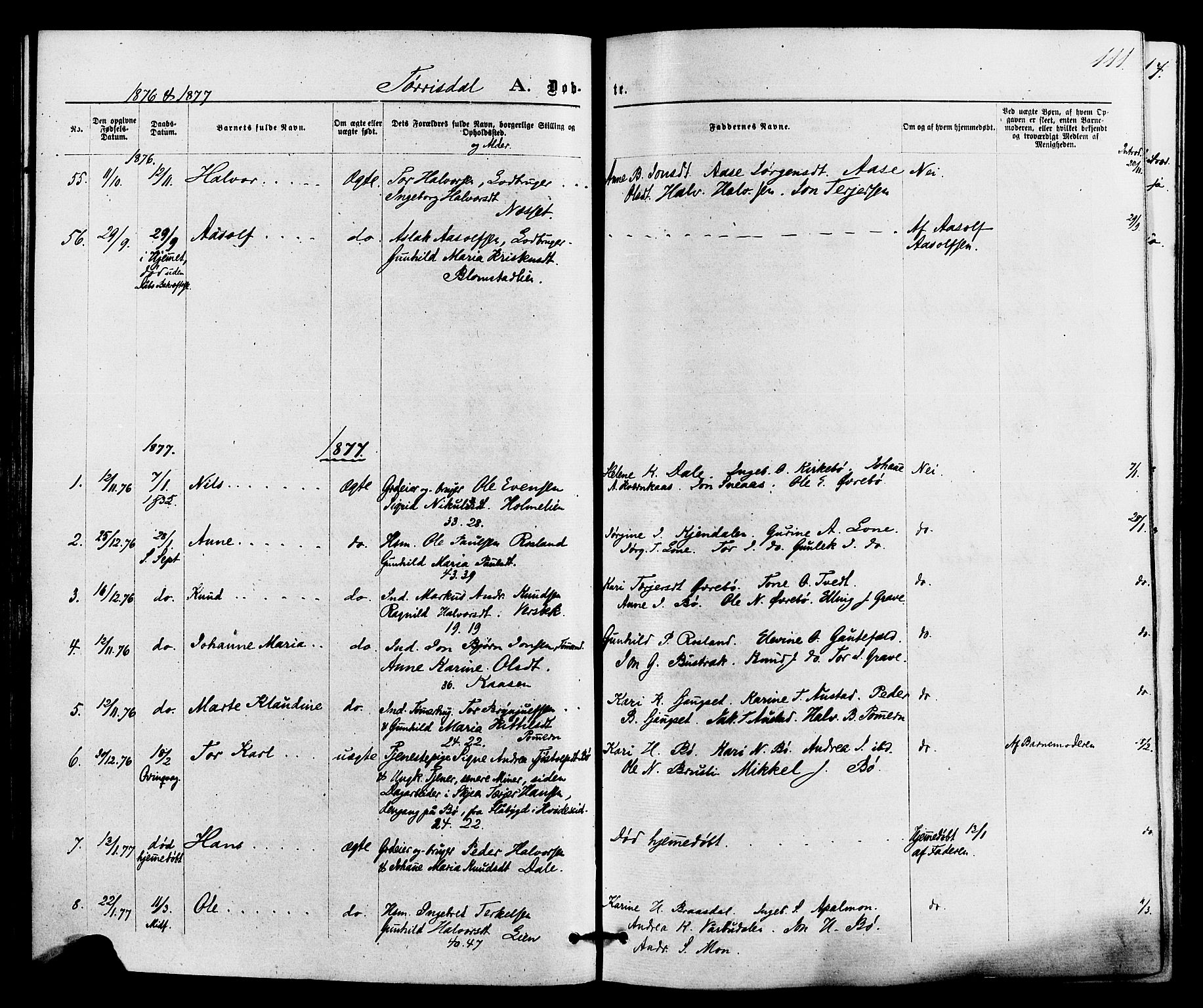 Drangedal kirkebøker, SAKO/A-258/F/Fa/L0009: Parish register (official) no. 9 /2, 1872-1884, p. 111