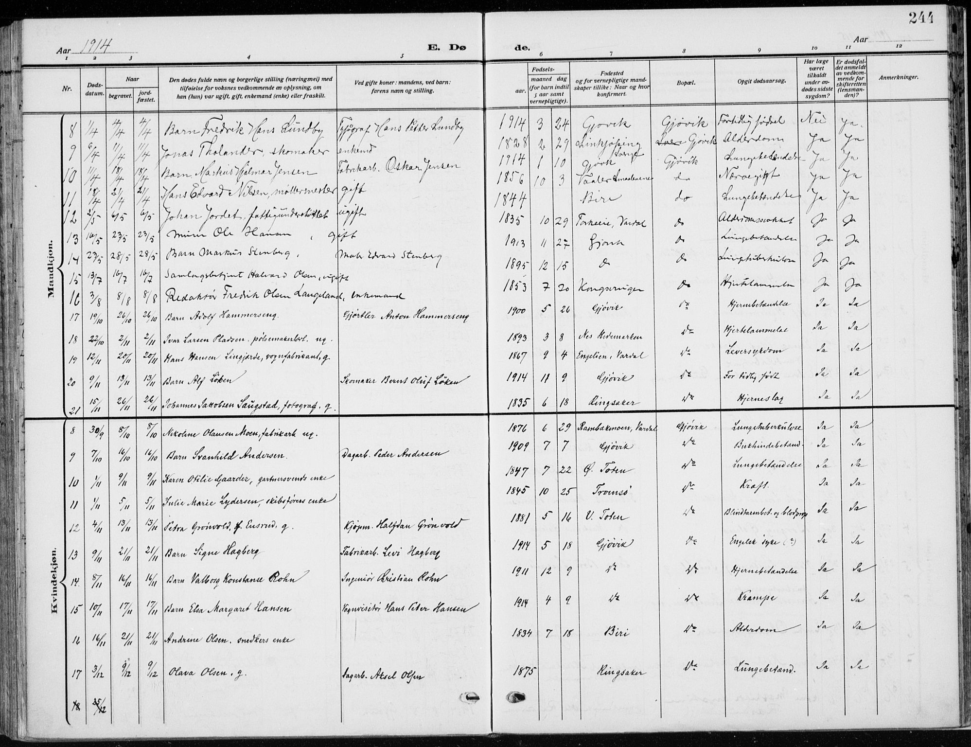 Vardal prestekontor, AV/SAH-PREST-100/H/Ha/Haa/L0014: Parish register (official) no. 14, 1912-1922, p. 244