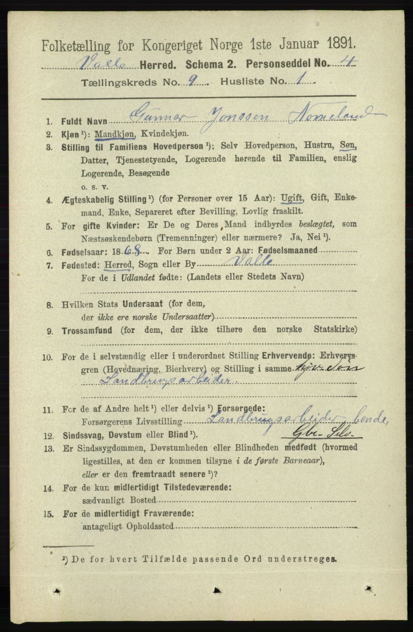 RA, 1891 census for 0940 Valle, 1891, p. 2447