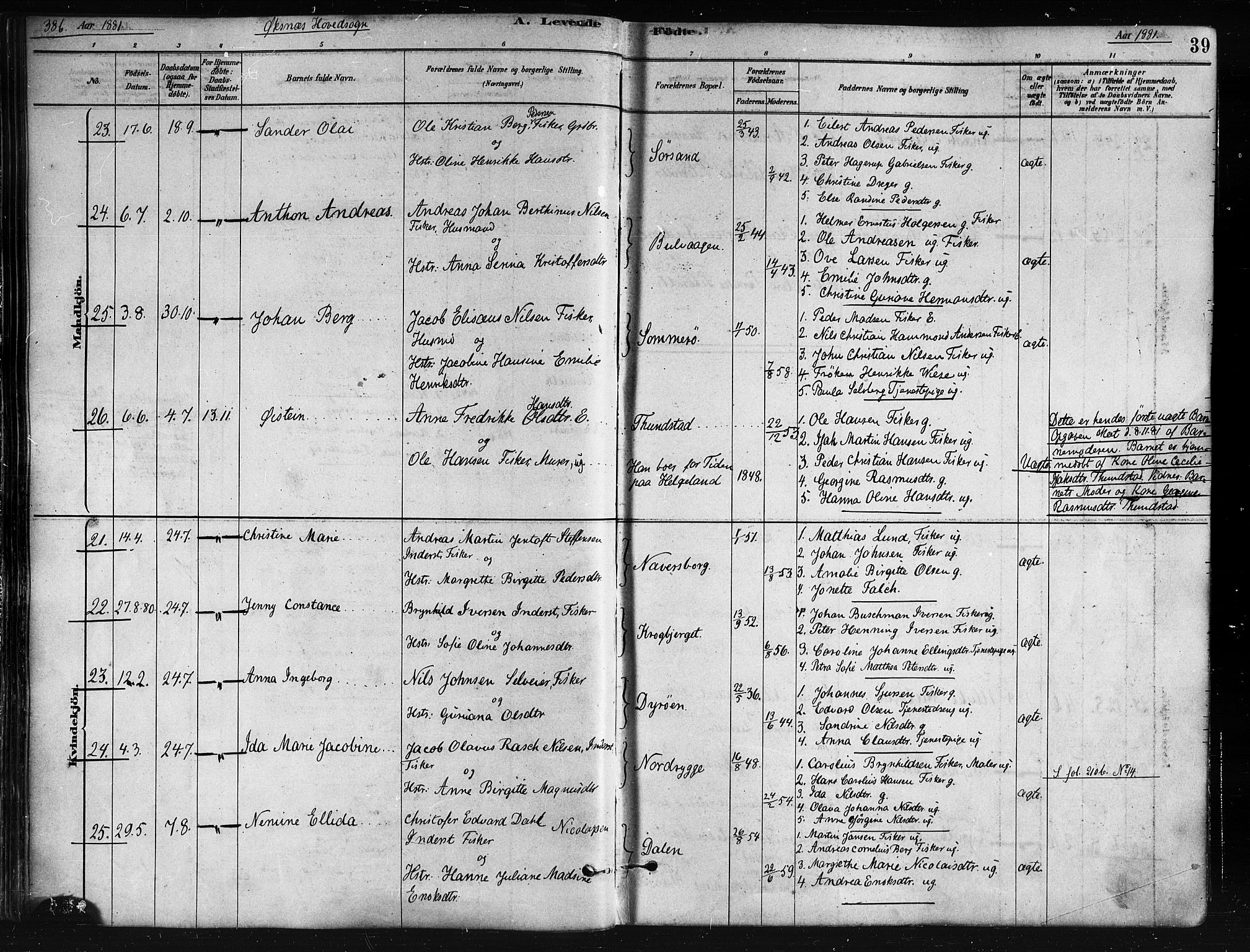 Ministerialprotokoller, klokkerbøker og fødselsregistre - Nordland, SAT/A-1459/893/L1335: Parish register (official) no. 893A08 /1, 1878-1884, p. 39