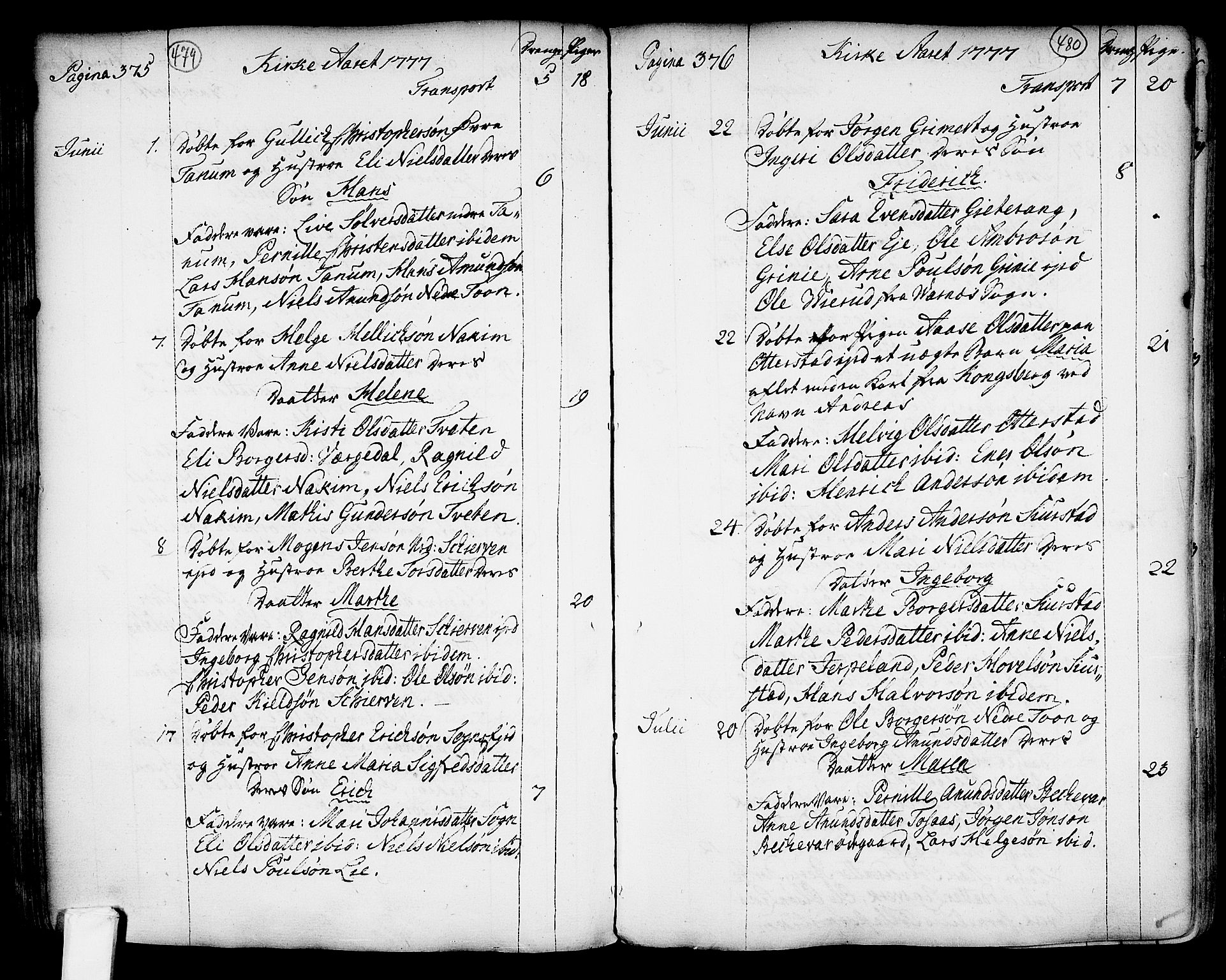 Lardal kirkebøker, AV/SAKO-A-350/F/Fa/L0003: Parish register (official) no. I 3, 1733-1815, p. 479-480
