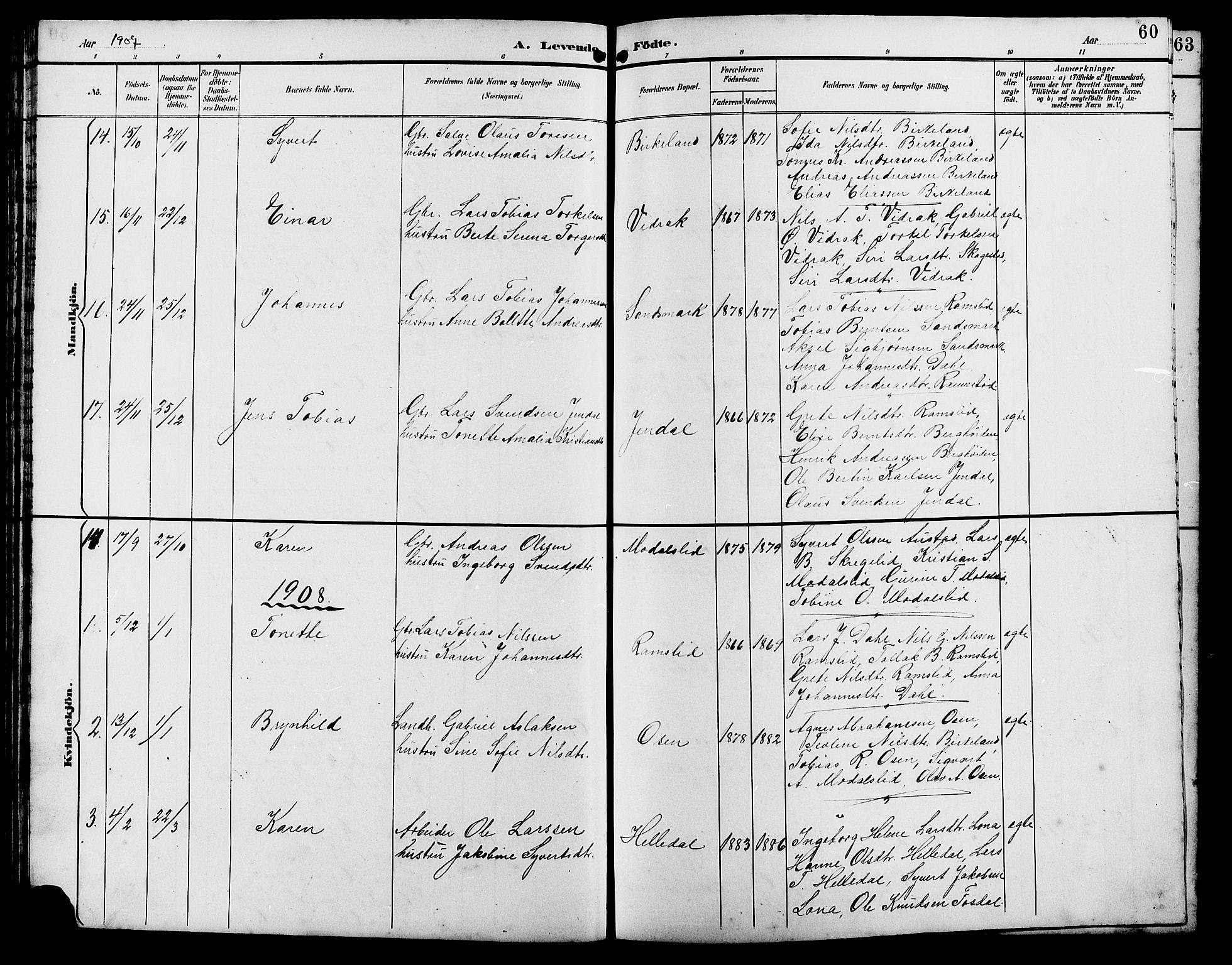 Bakke sokneprestkontor, SAK/1111-0002/F/Fb/Fba/L0003: Parish register (copy) no. B 3, 1894-1910, p. 60