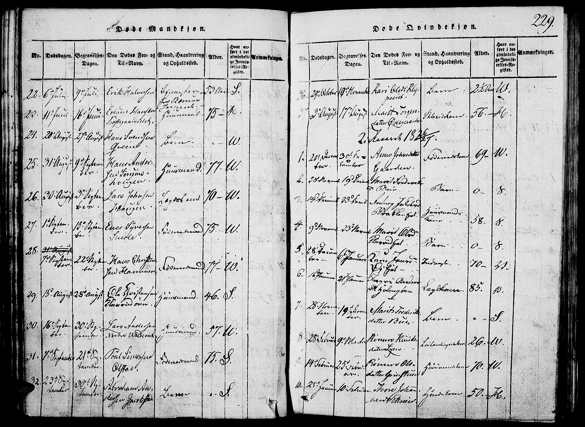 Vågå prestekontor, SAH/PREST-076/H/Ha/Hab/L0001: Parish register (copy) no. 1, 1815-1827, p. 228-229