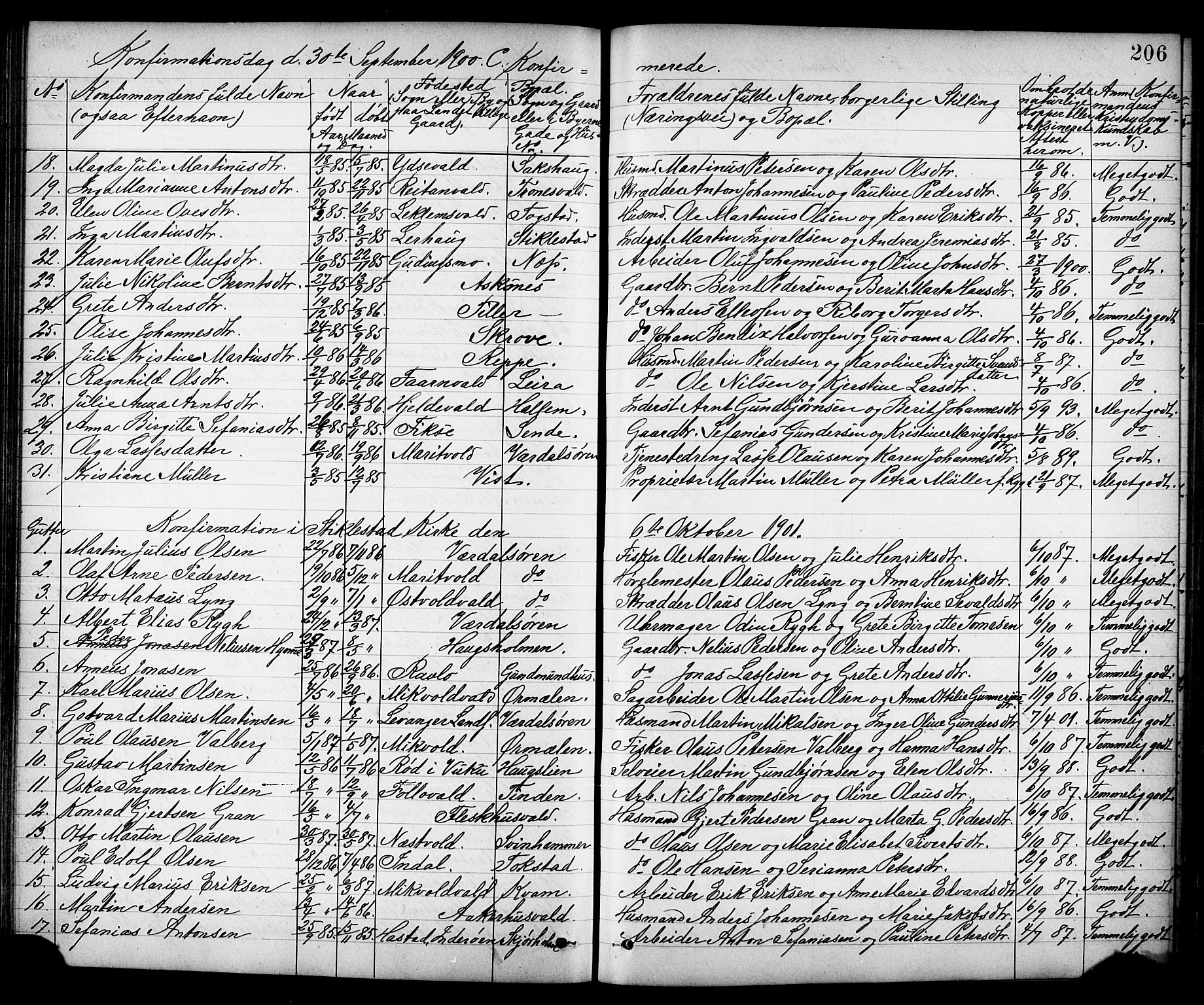 Ministerialprotokoller, klokkerbøker og fødselsregistre - Nord-Trøndelag, SAT/A-1458/723/L0257: Parish register (copy) no. 723C05, 1890-1907, p. 206