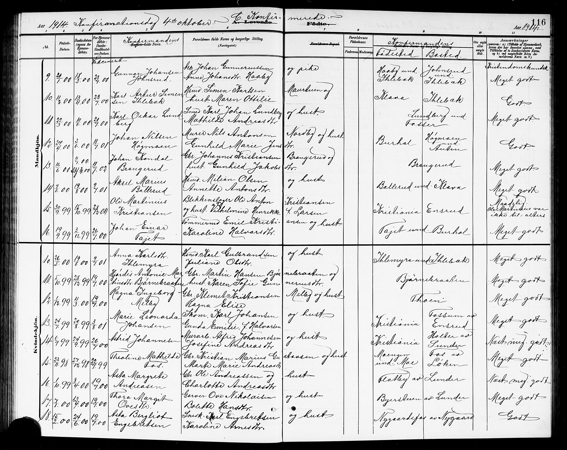 Høland prestekontor Kirkebøker, SAO/A-10346a/G/Ga/L0007: Parish register (copy) no. I 7, 1902-1914, p. 116