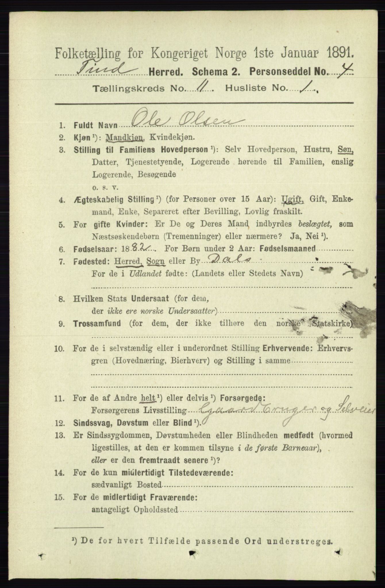 RA, 1891 census for 0826 Tinn, 1891, p. 2123