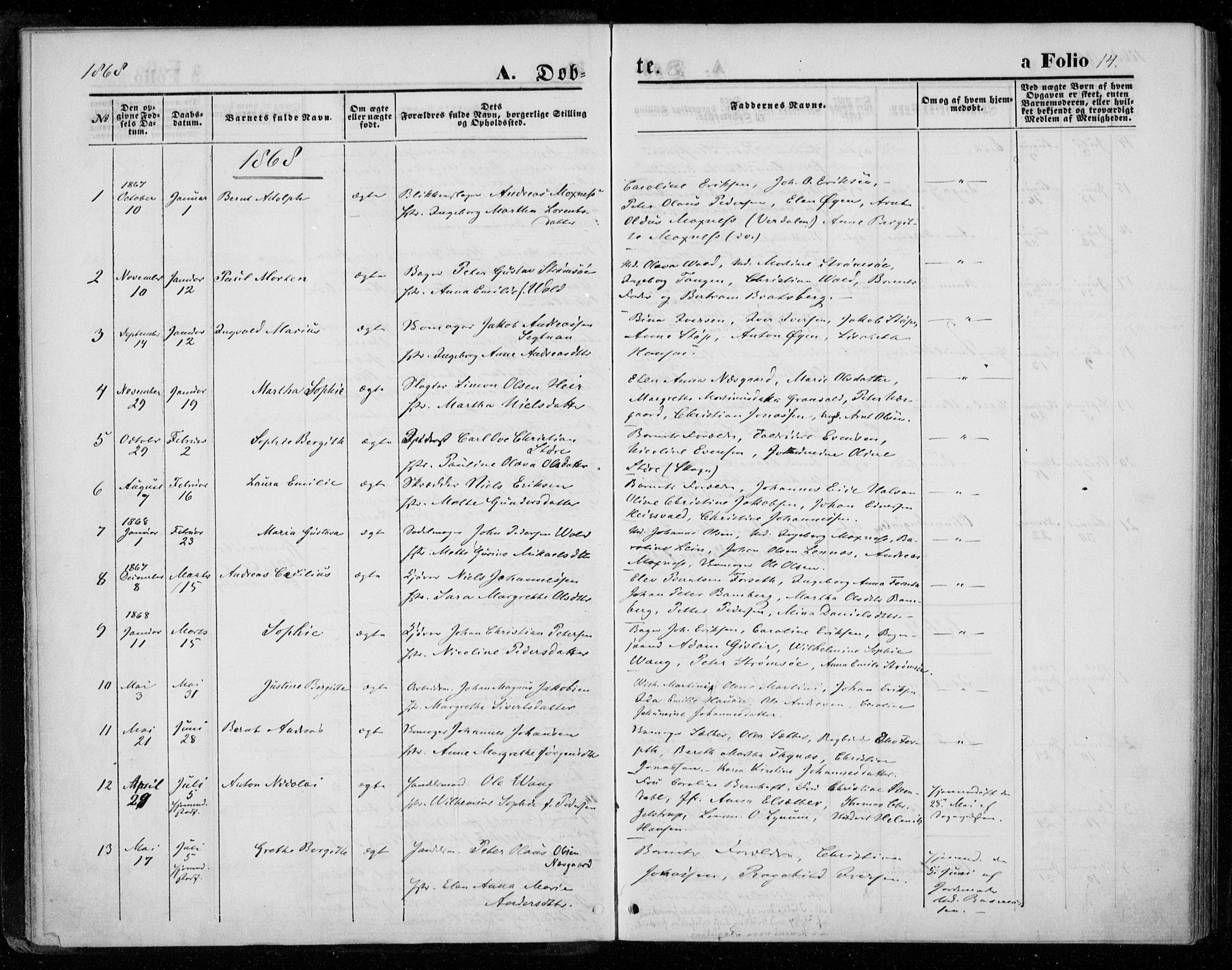 Ministerialprotokoller, klokkerbøker og fødselsregistre - Nord-Trøndelag, SAT/A-1458/720/L0186: Parish register (official) no. 720A03, 1864-1874, p. 14