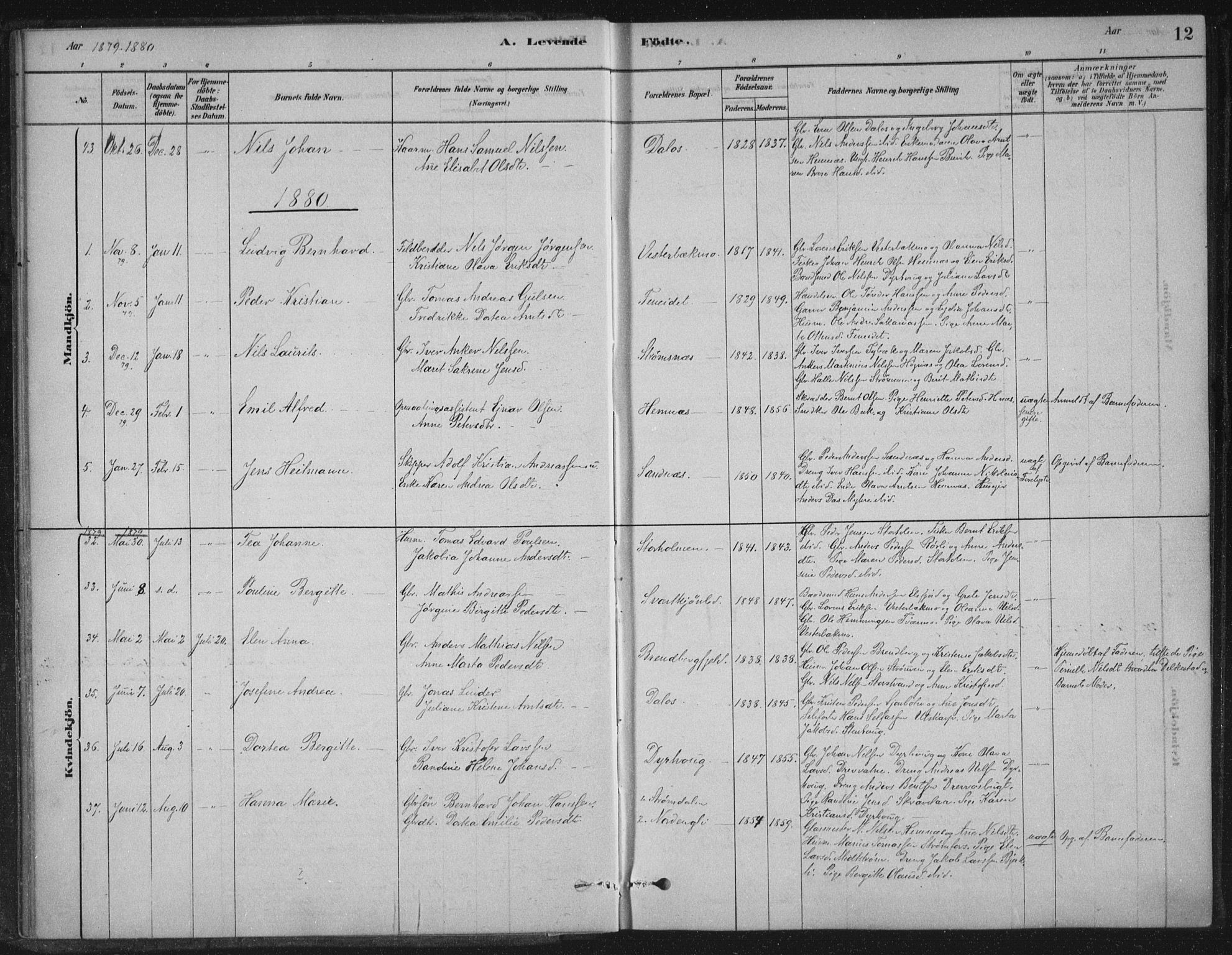 Ministerialprotokoller, klokkerbøker og fødselsregistre - Nordland, AV/SAT-A-1459/825/L0361: Parish register (official) no. 825A15, 1878-1893, p. 12